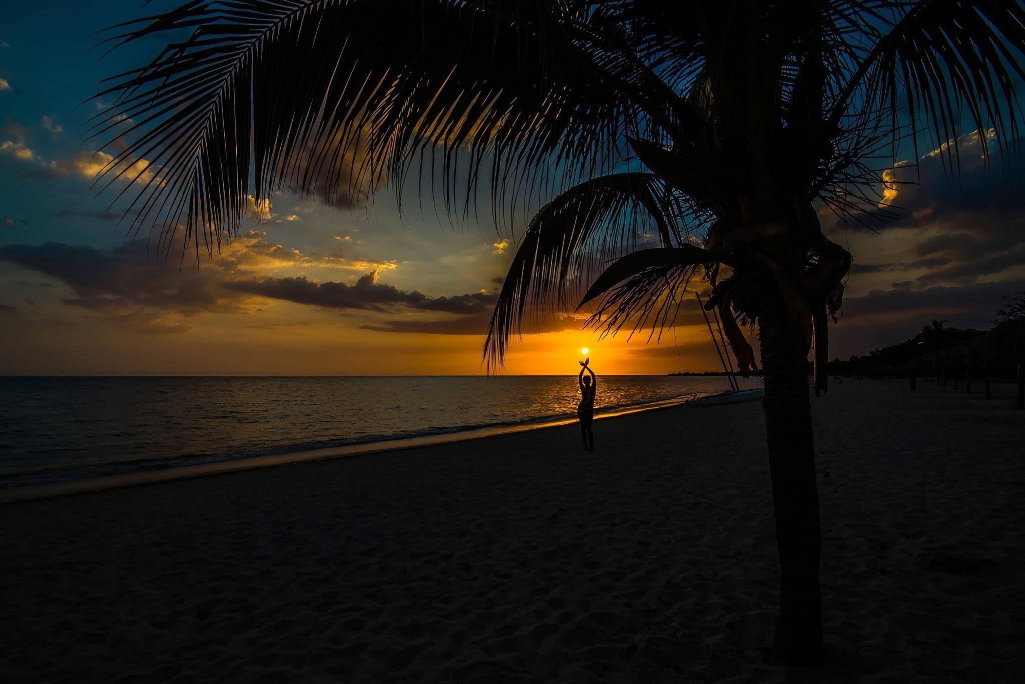 sunset, dark, palm trees, beach, sky, sea, arms up, sunlight