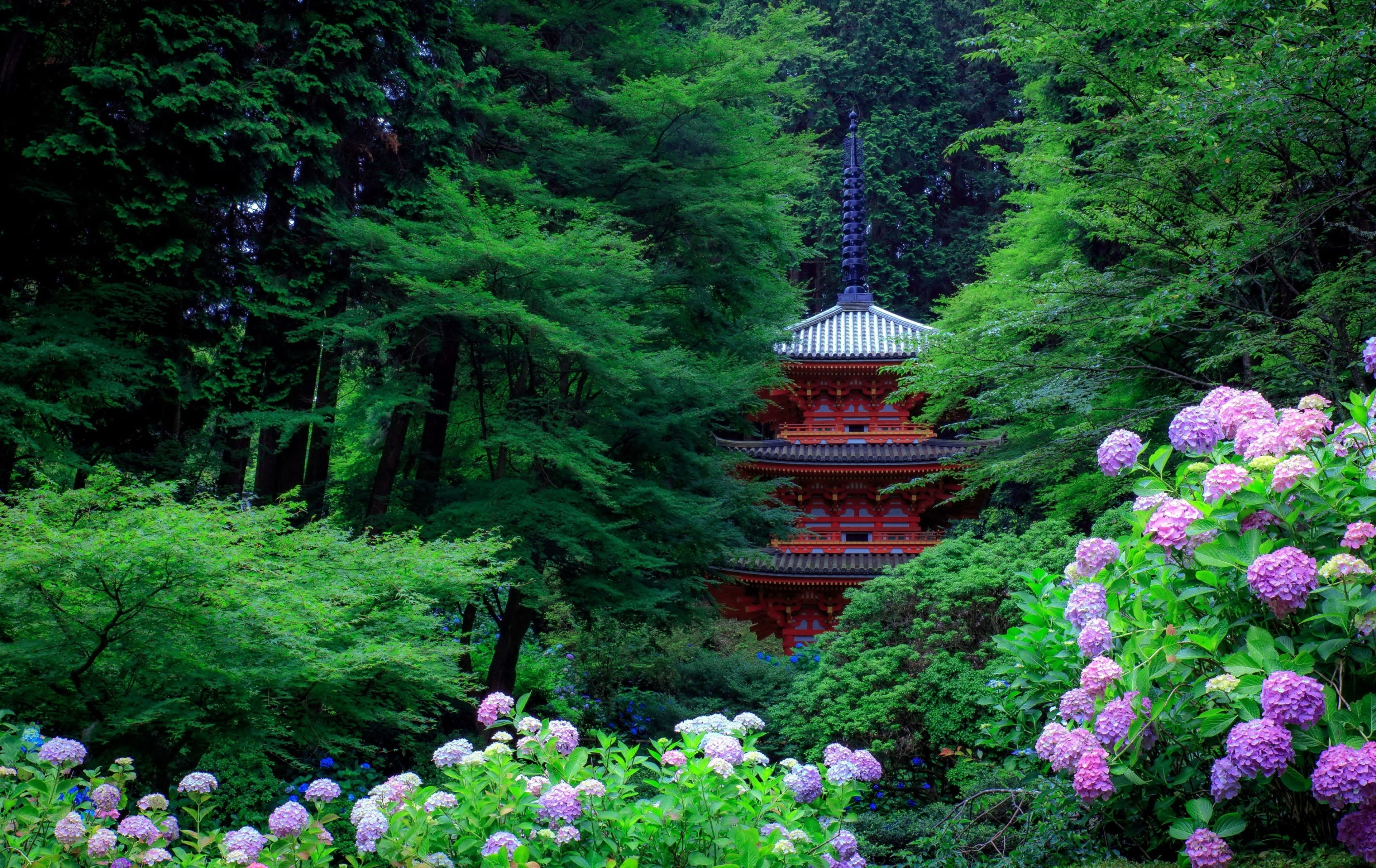 green and purple leaf plant, Asian architecture, pagoda, trees