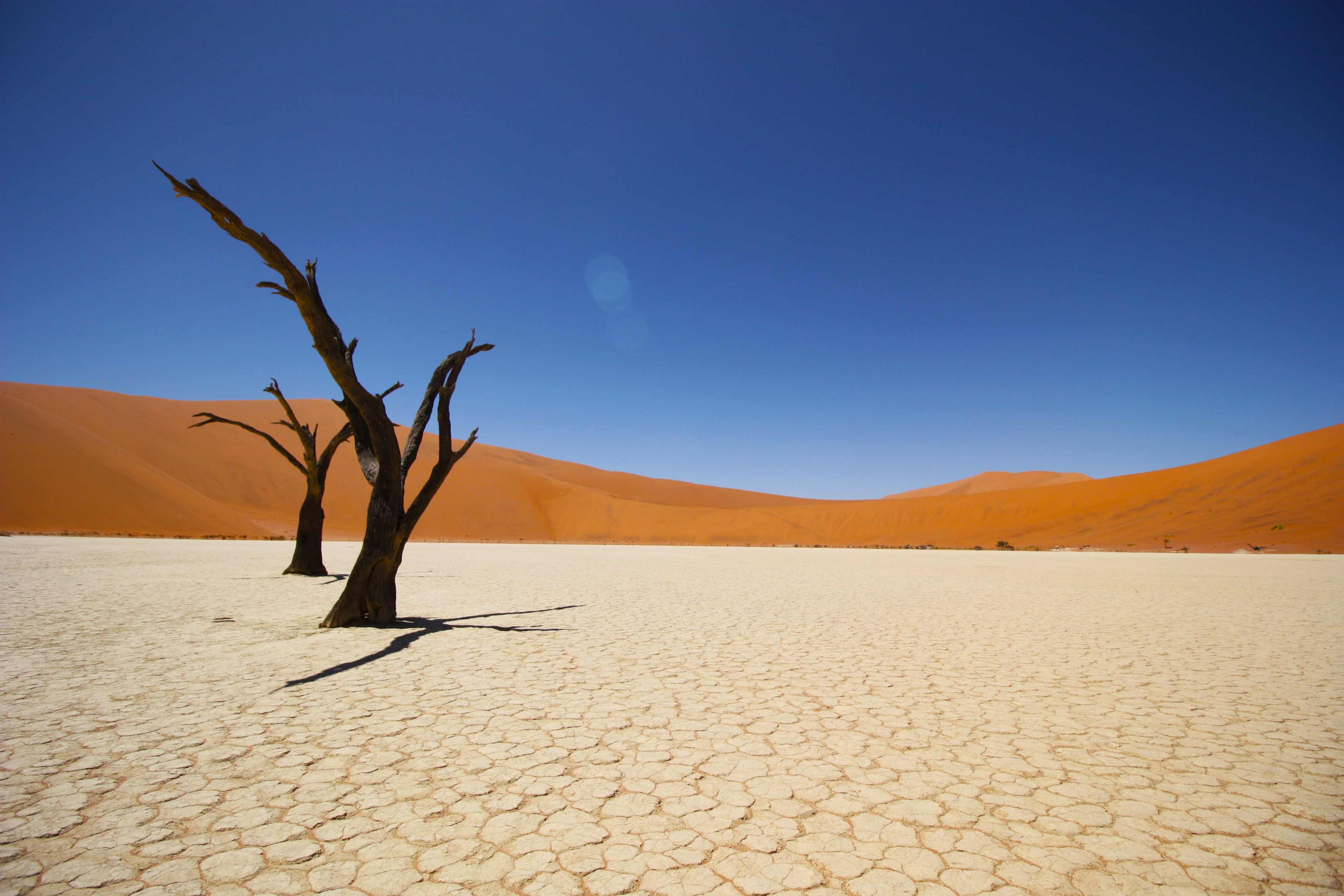 Namib Desert, 4K, Coastal desert