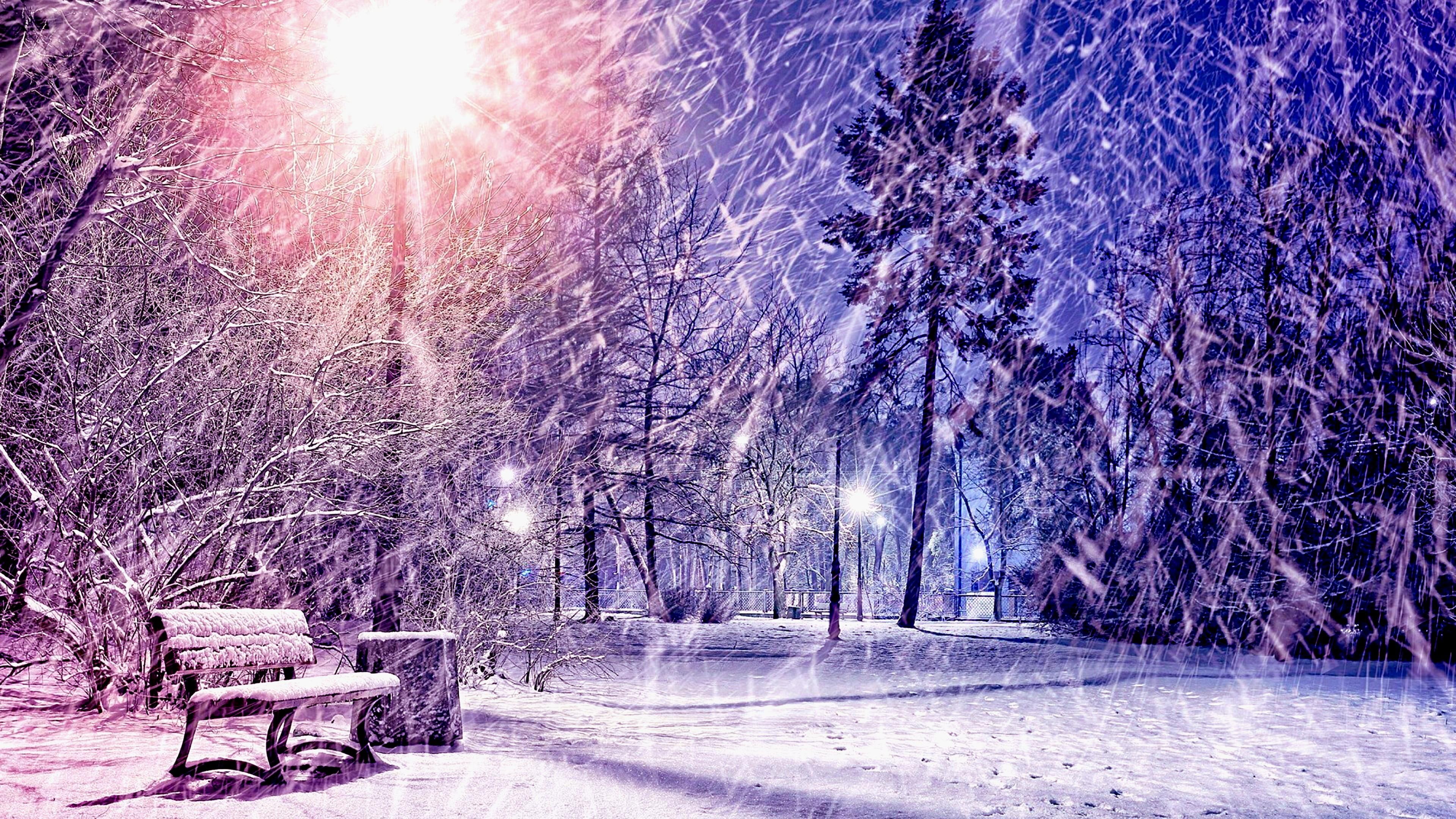 winter, evening, park, bench, snowing