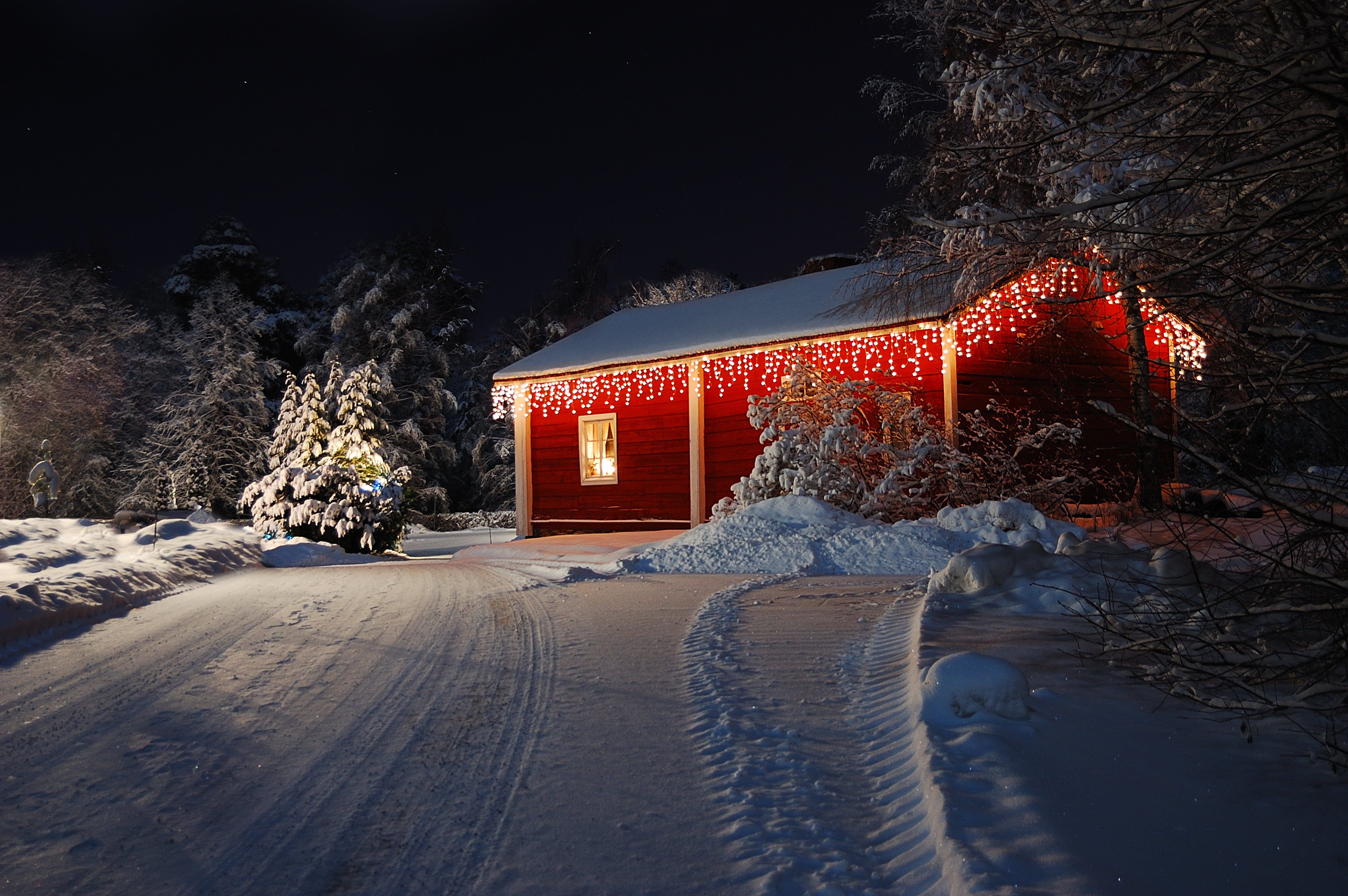 red wooden tool shed, winter, road, forest, snow, trees, nature