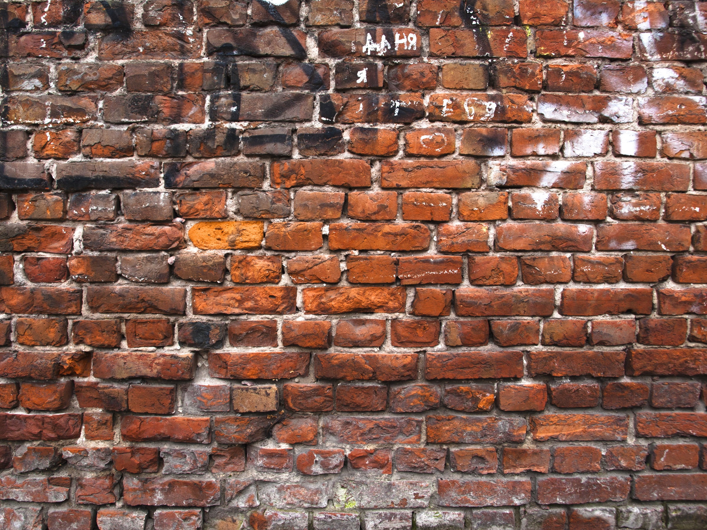 wall, Red, bricks, pattern, full frame, backgrounds, brick wall