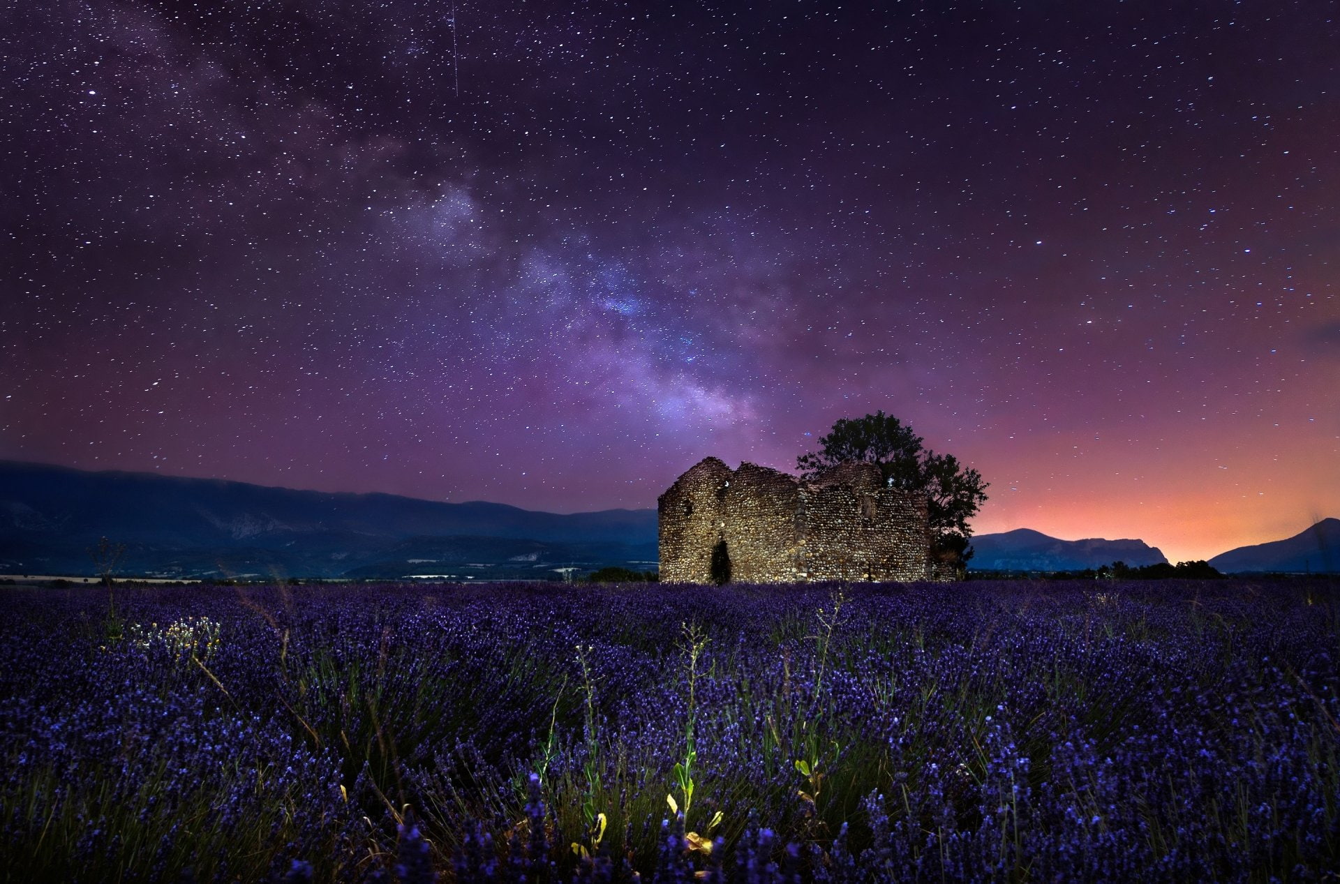 Free download | HD wallpaper: Flowers, Lavender, Field, Night, Purple