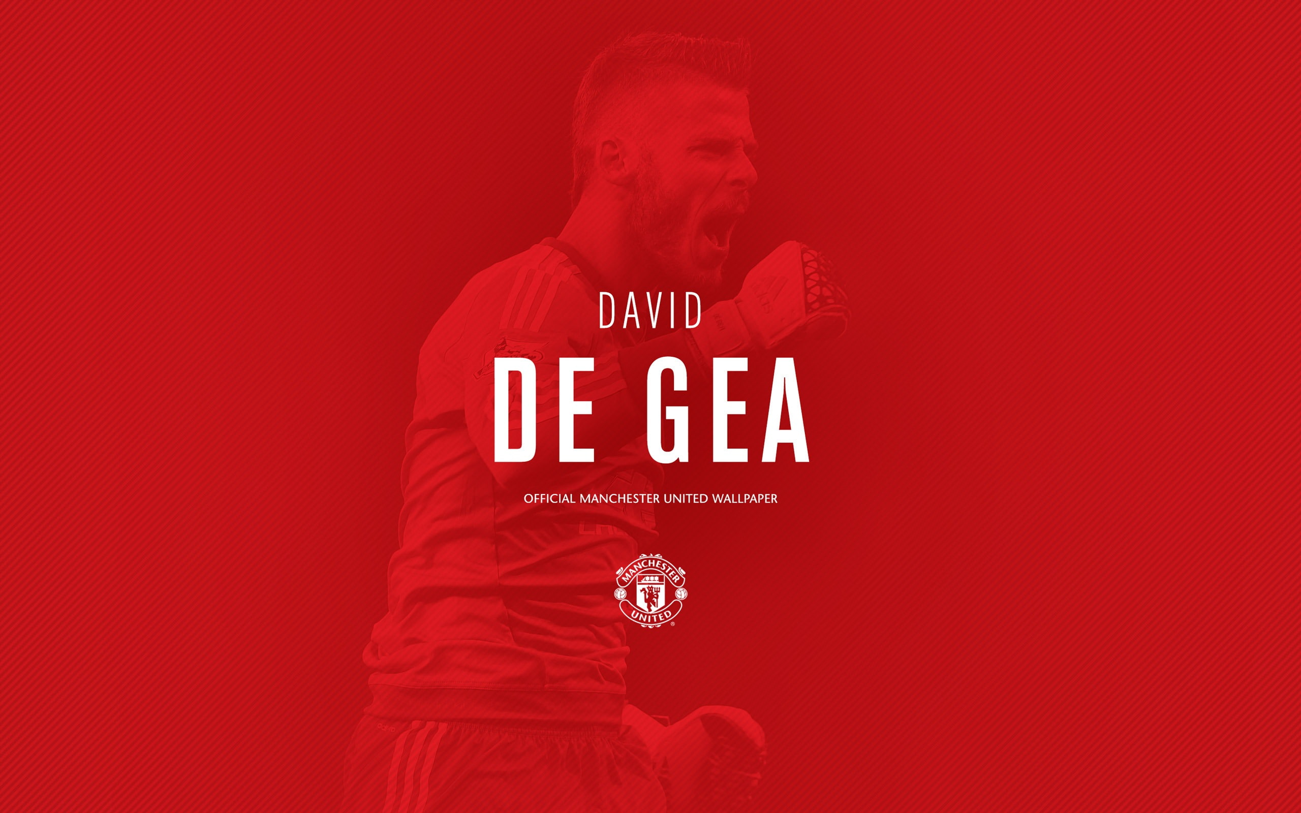 David de Gea-2016 Manchester United HD Wallpaper, David De Gea