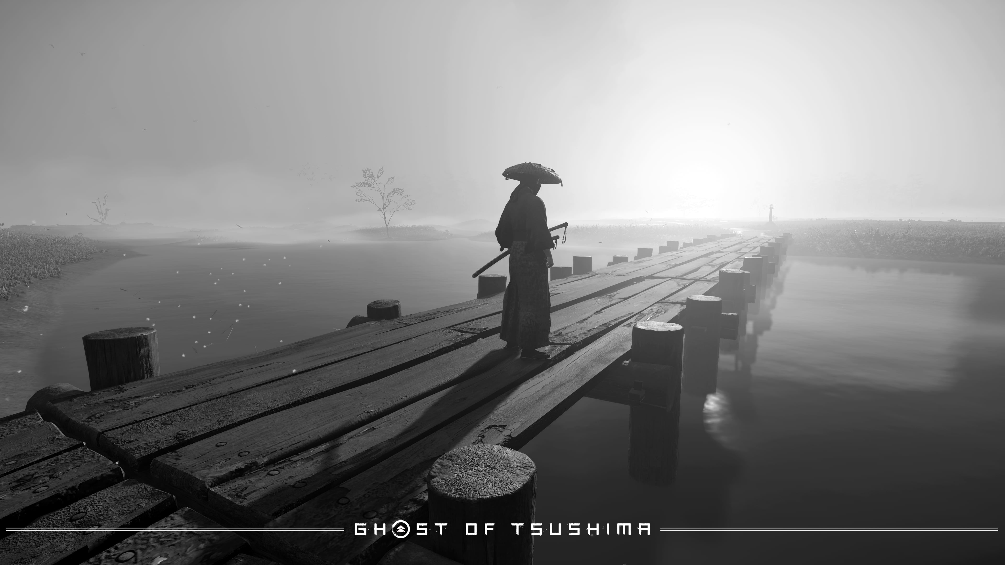 Playstation 5, Ghost of Tsushima, video games, Japan