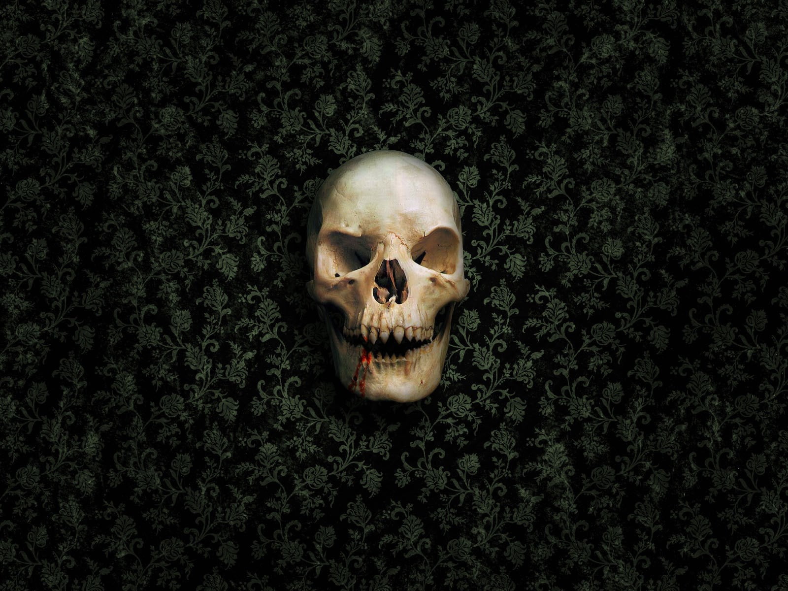 skull