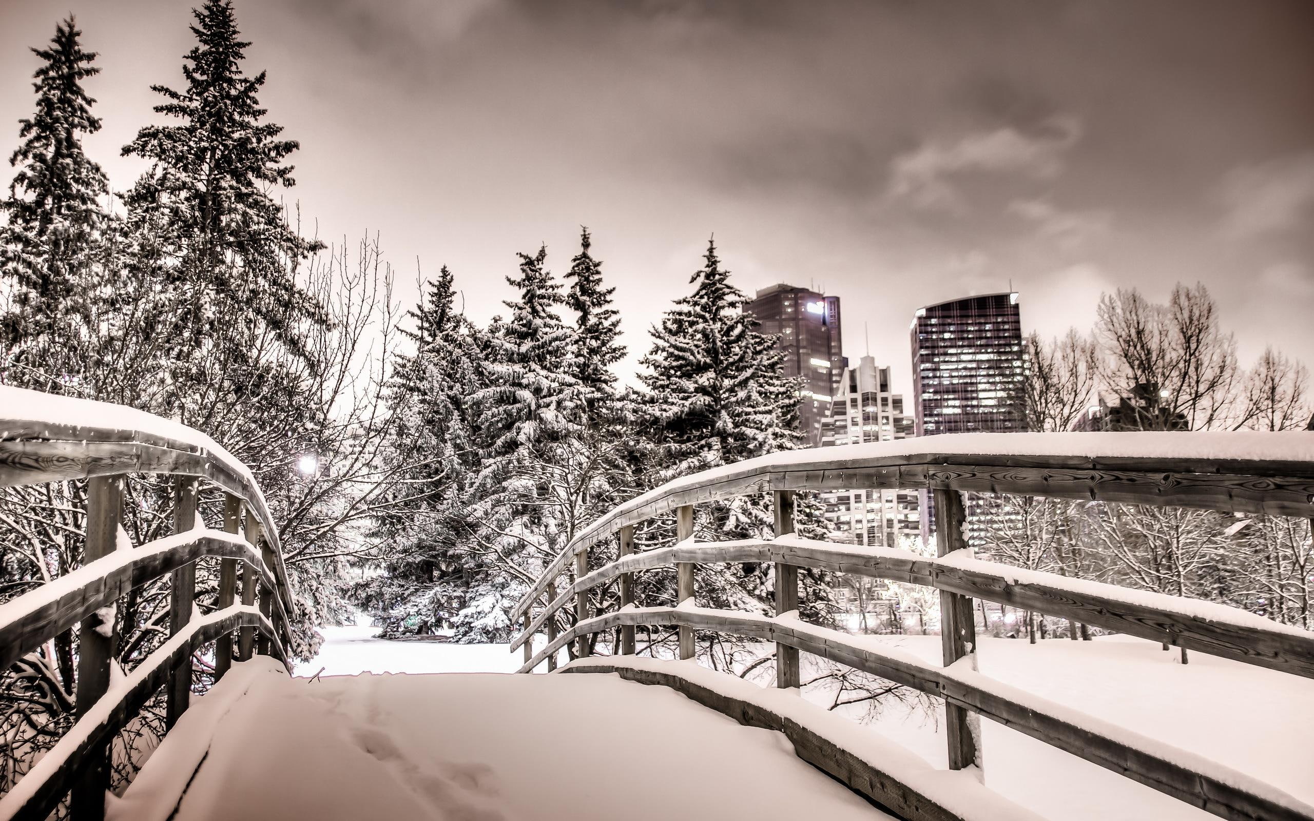 *** Winter In Calgary ***, snow, nature, nature and landscapes