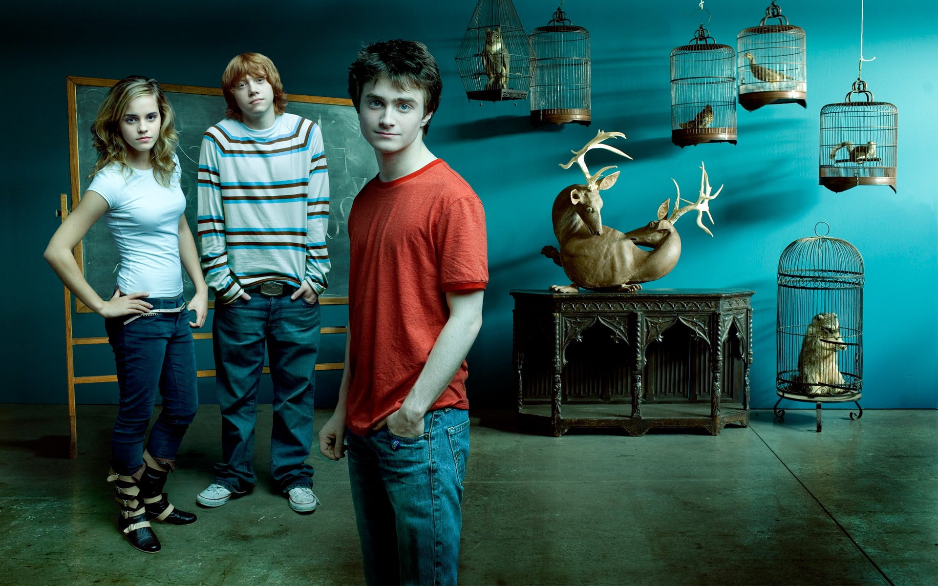men's red crew-neck shirt, Daniel Radcliffe, Emma Watson, Rupert Grint