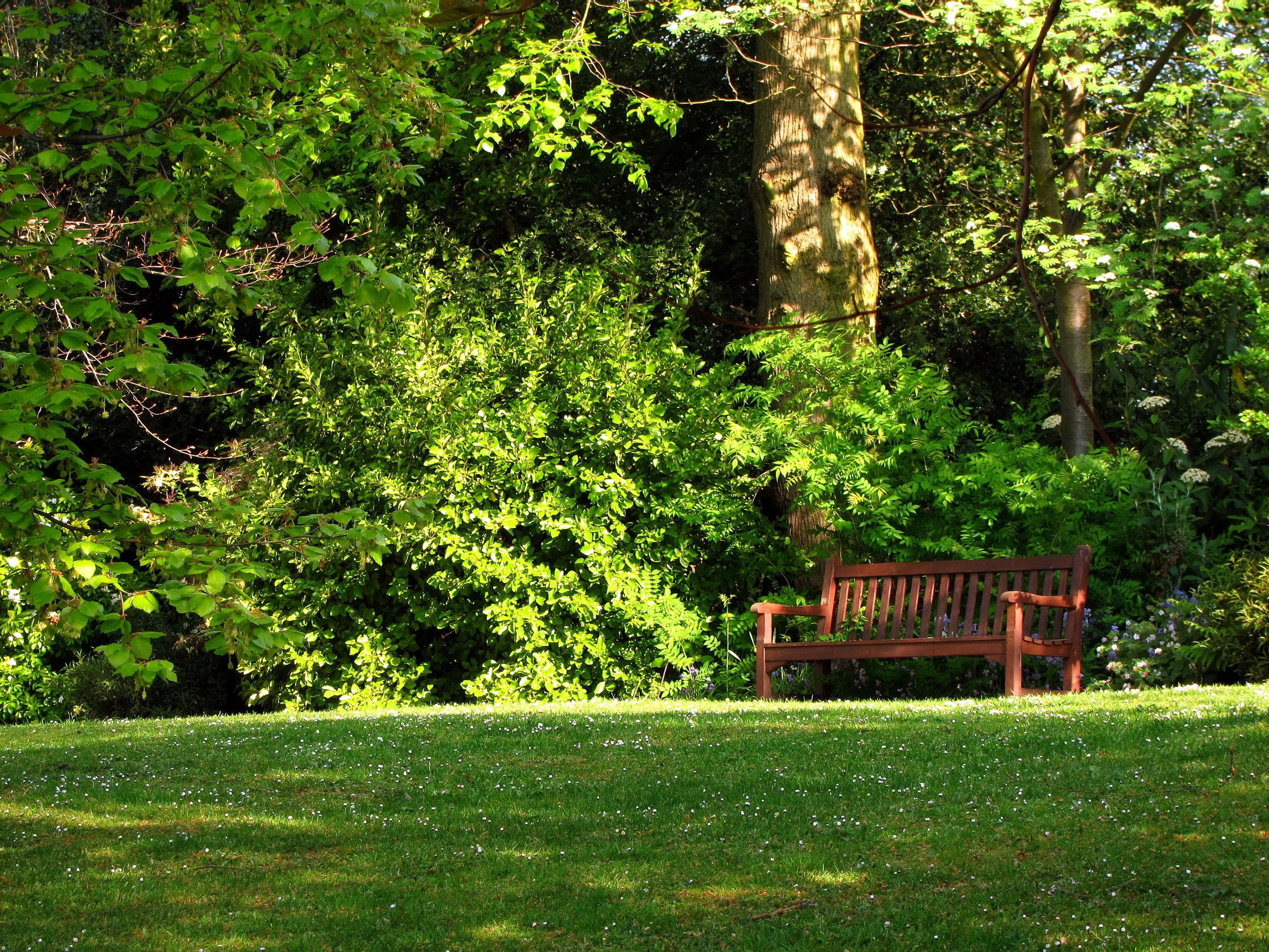 bench