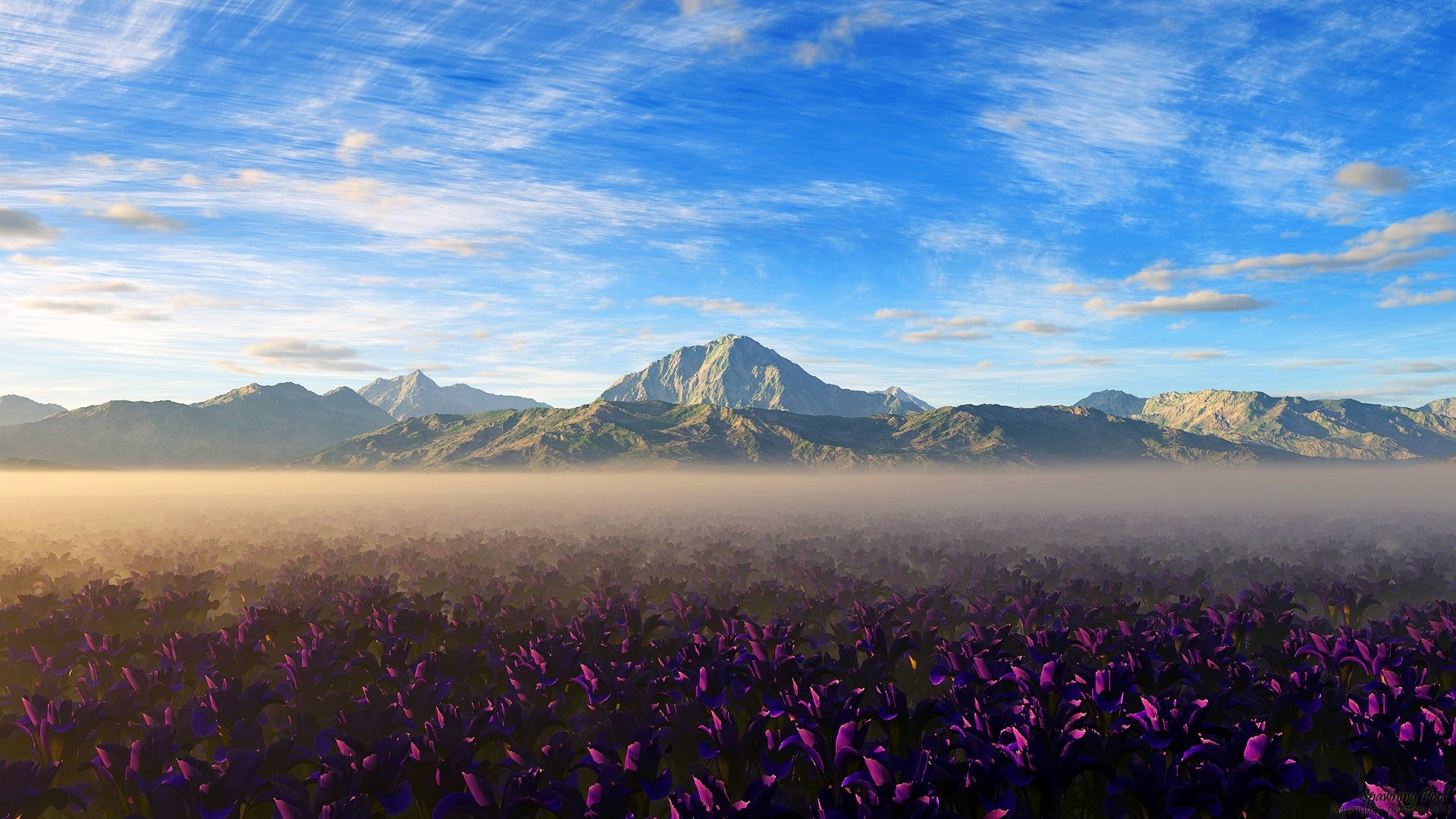 purple flower field, landscape, flowers, nature, mountains, purple flowers