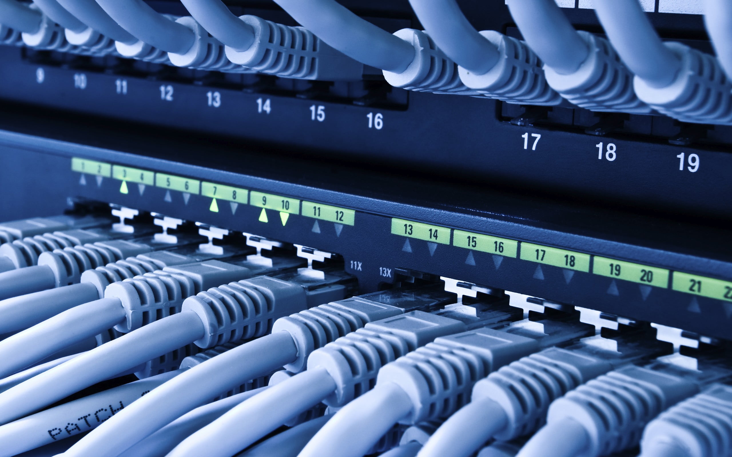 black Ethernet switch, network, computer, server, technology