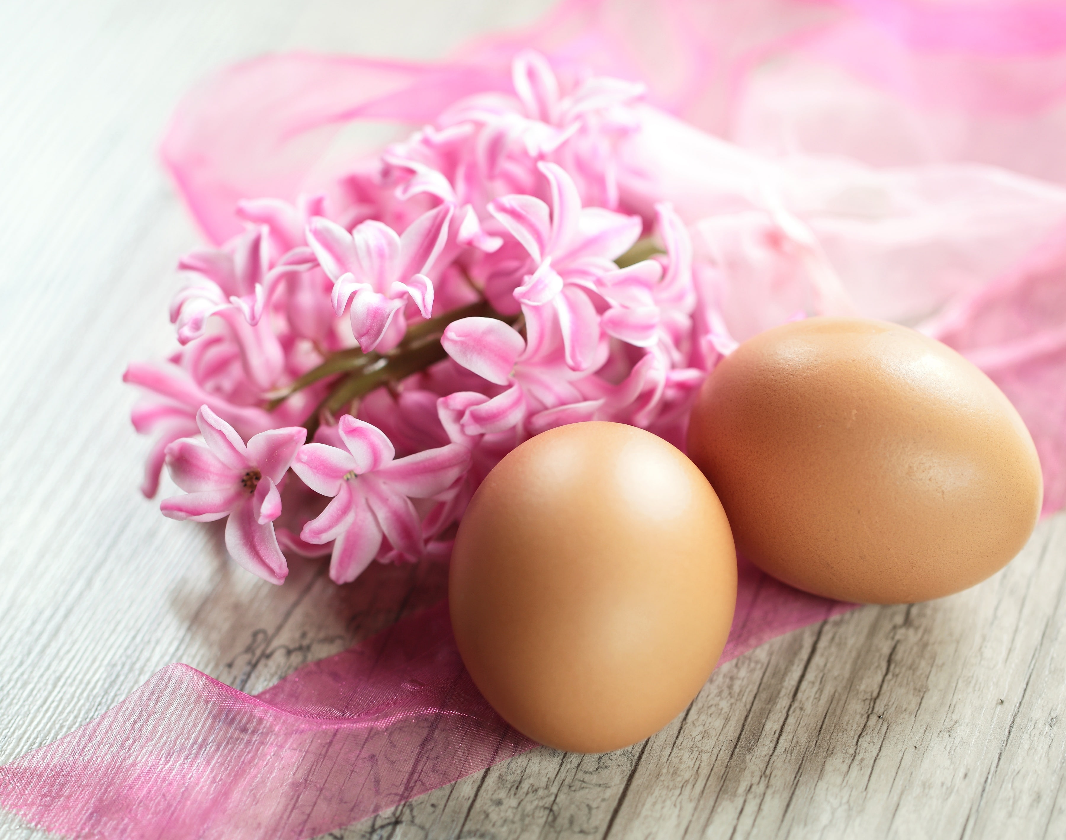 eggs, Easter, Easter eggs
