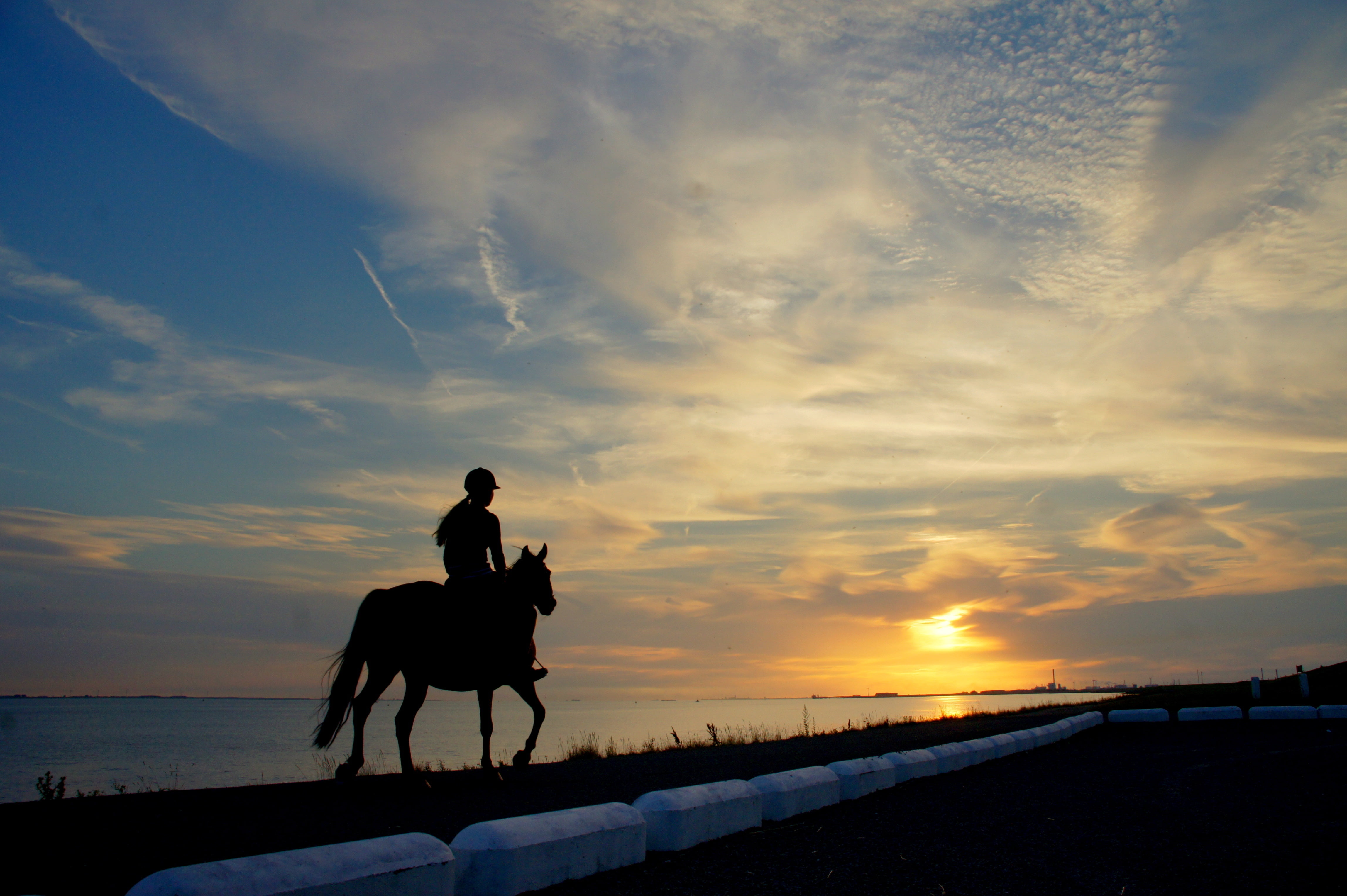 silhouette of person on horse, horseback rider, girl, lake, borders