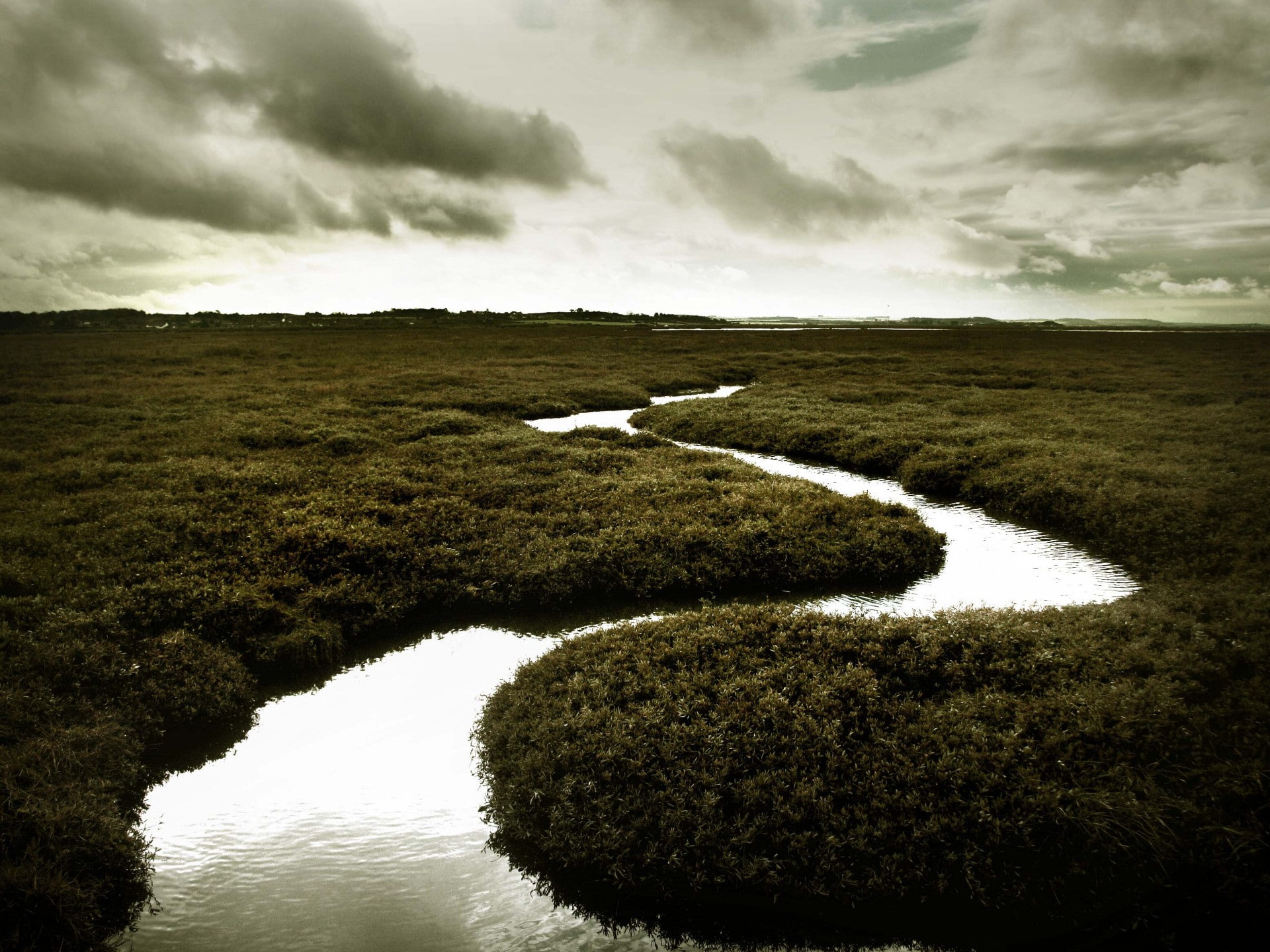 sadness, plain, Stream