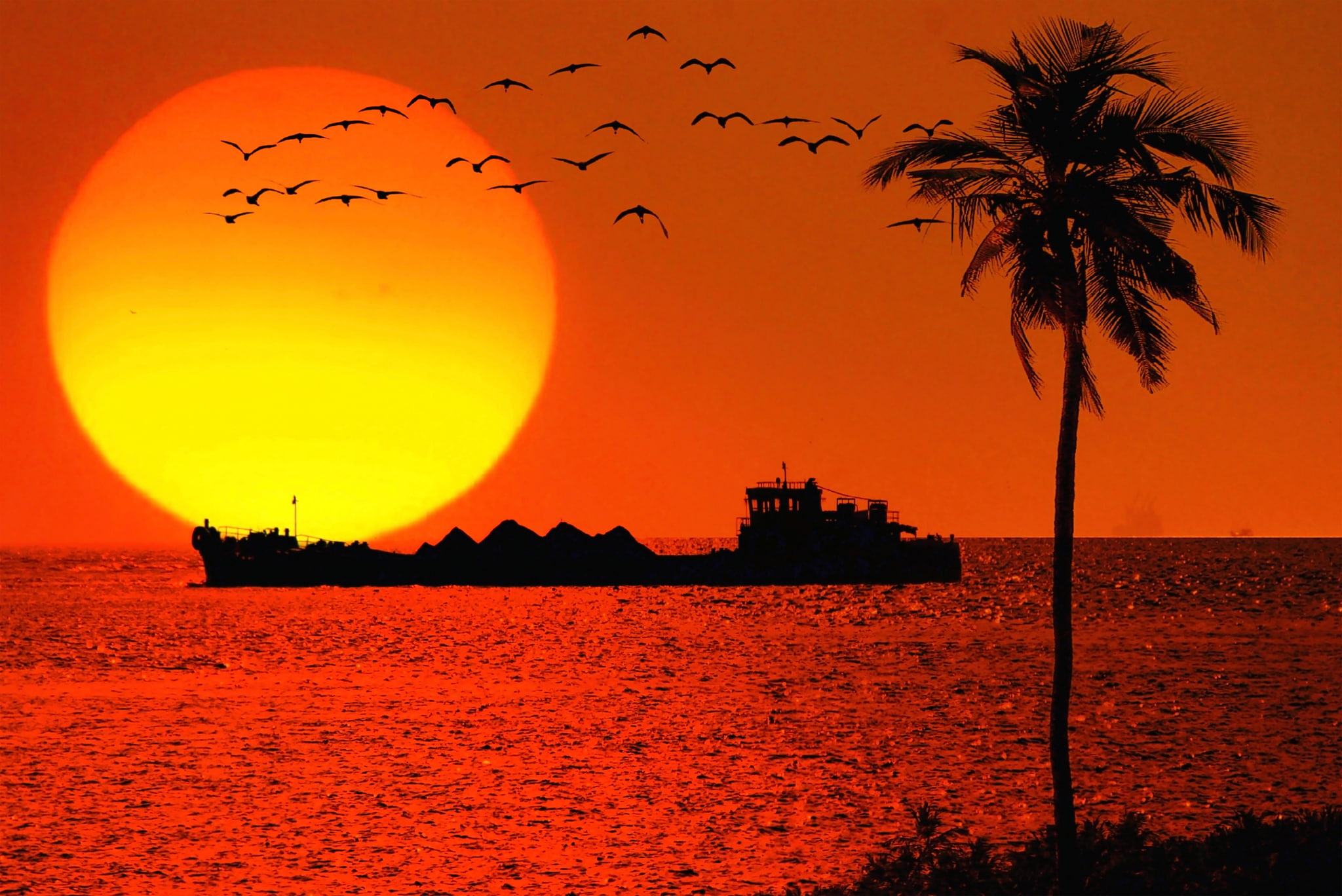 silhouette photo of flying birds, coconut tree, and ship during golden hour