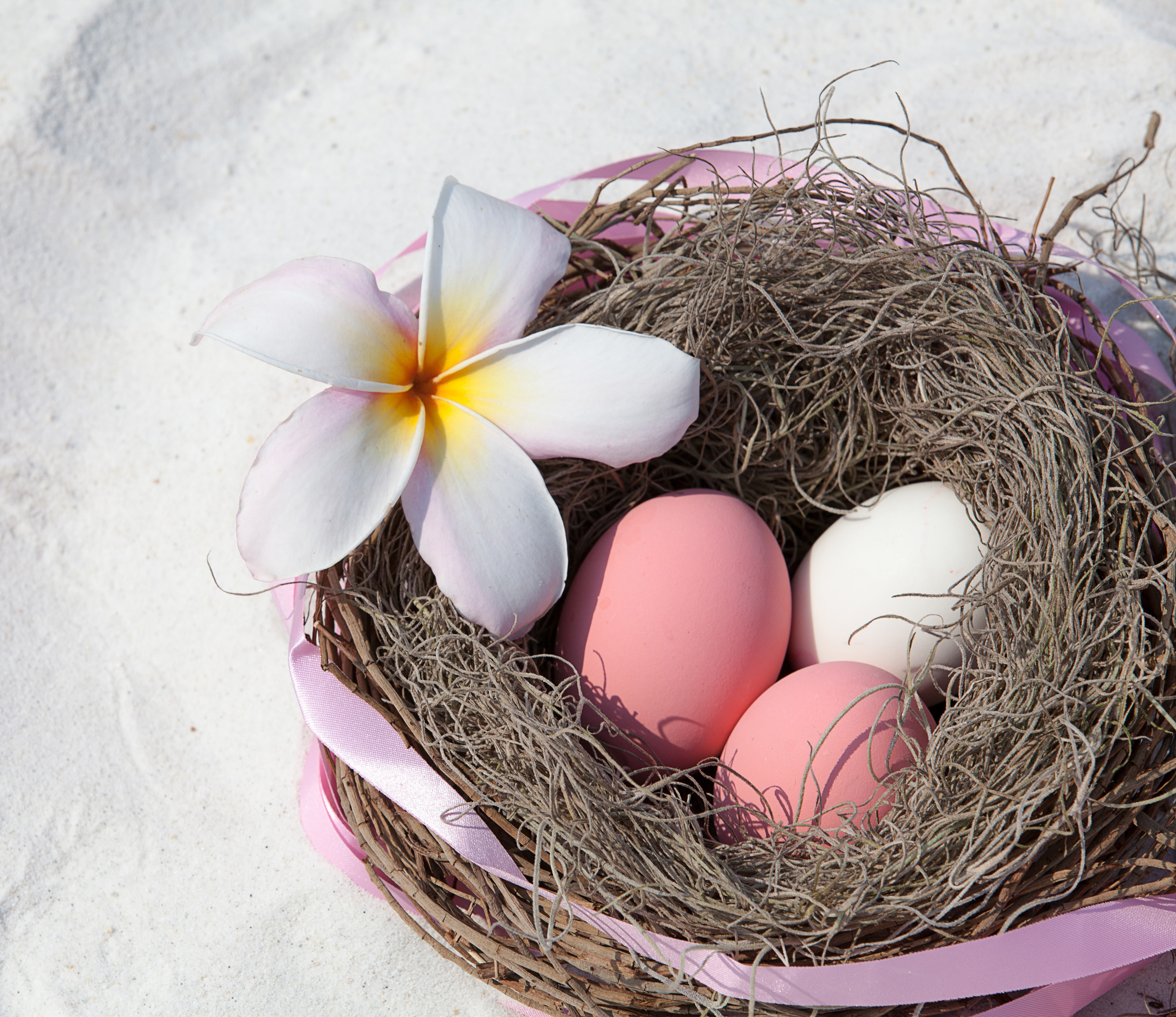 eggs, Easter, Easter eggs