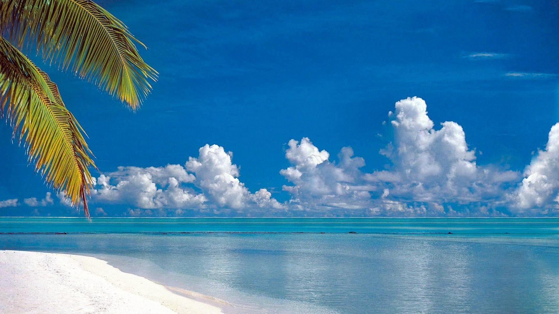 summer, beach, exotic, seashore, sandy, blue sky, blue sea