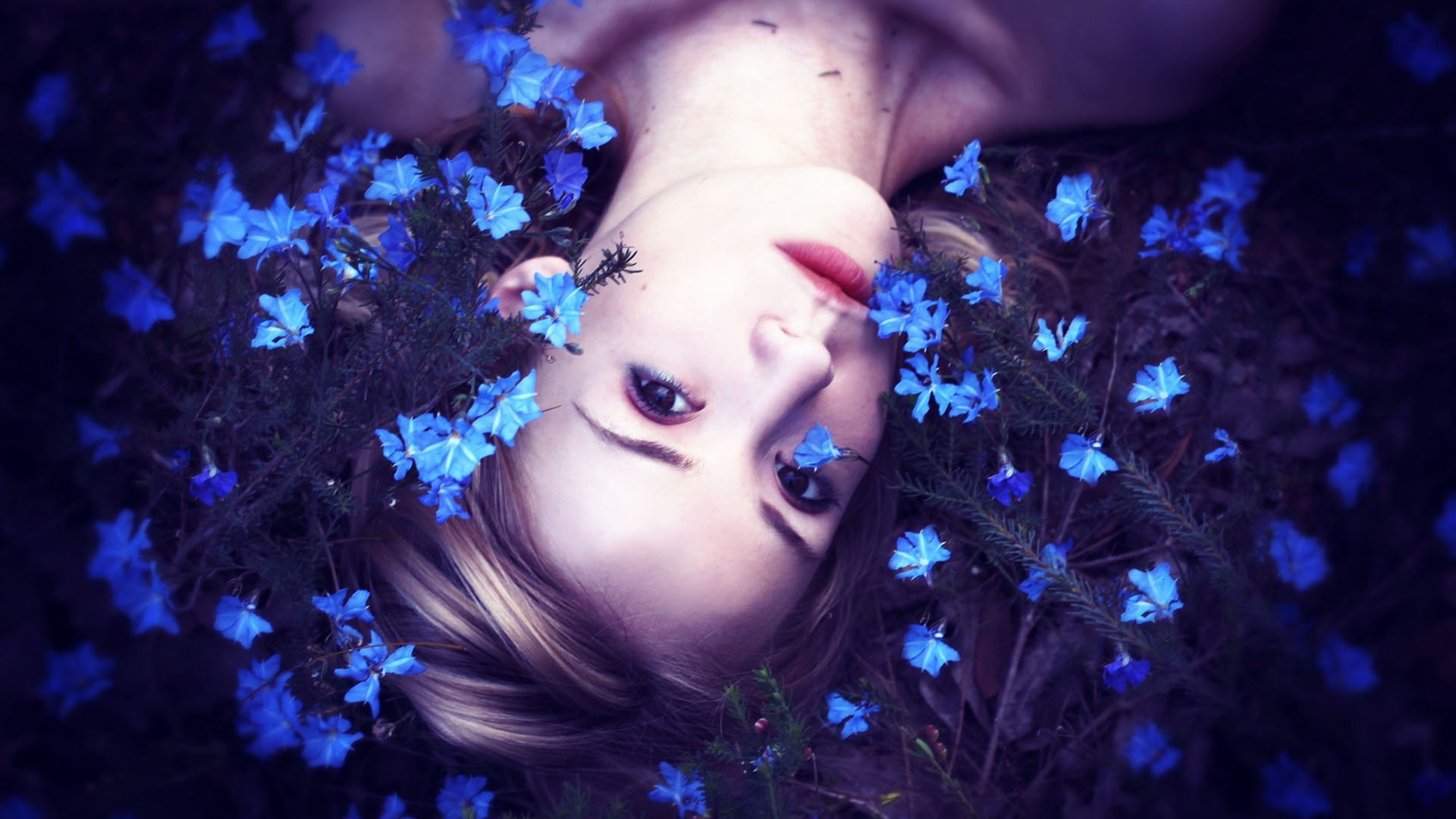women, upside down, blue flowers, fantasy girl, looking at viewer