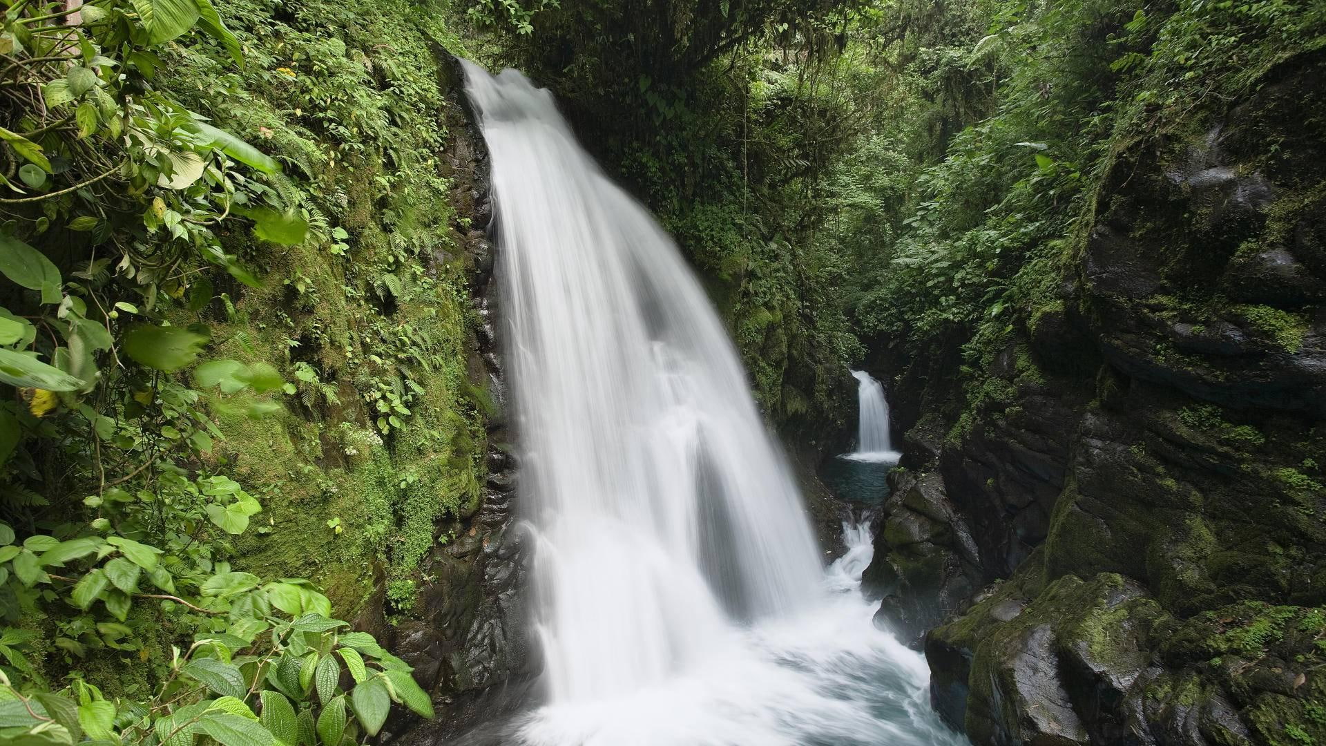 La Paz Waterfall In Costa Rica, trees, stream, gorge, duel, nature and landscapes
