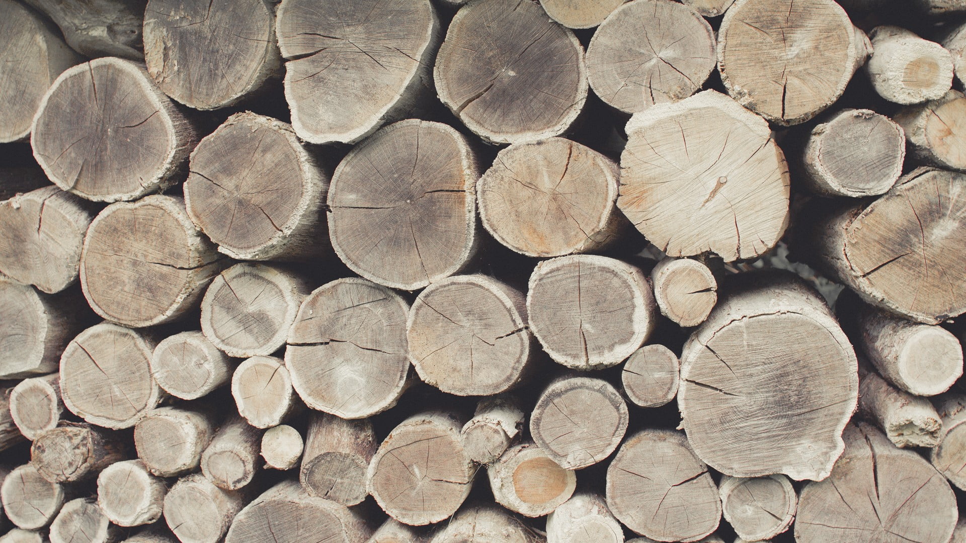 brown cut logs, simple background, KTM, timber, firewood, wood - material