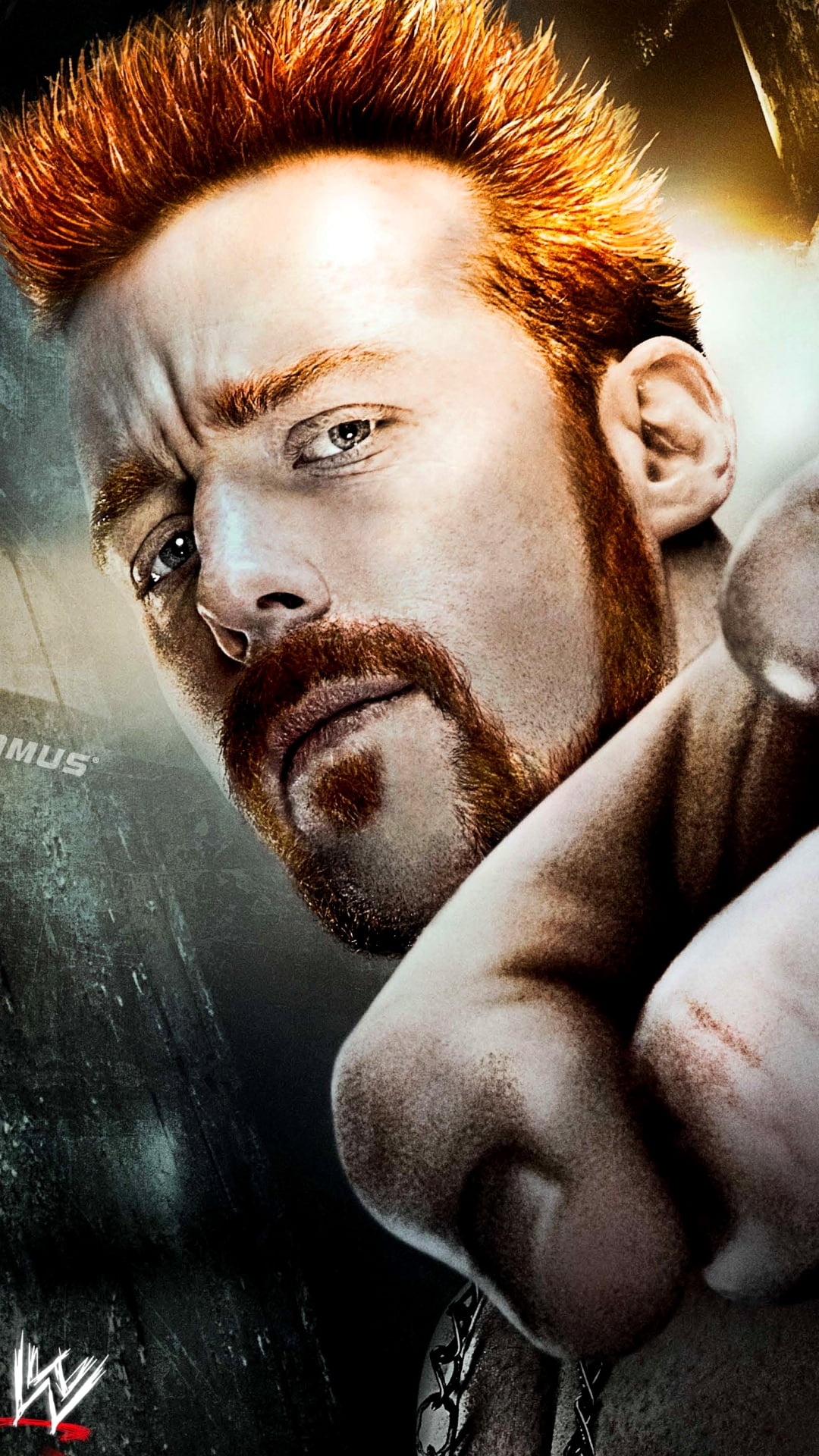 Sheamus Wrestler, WWE poster, portrait, beard, facial hair, one person