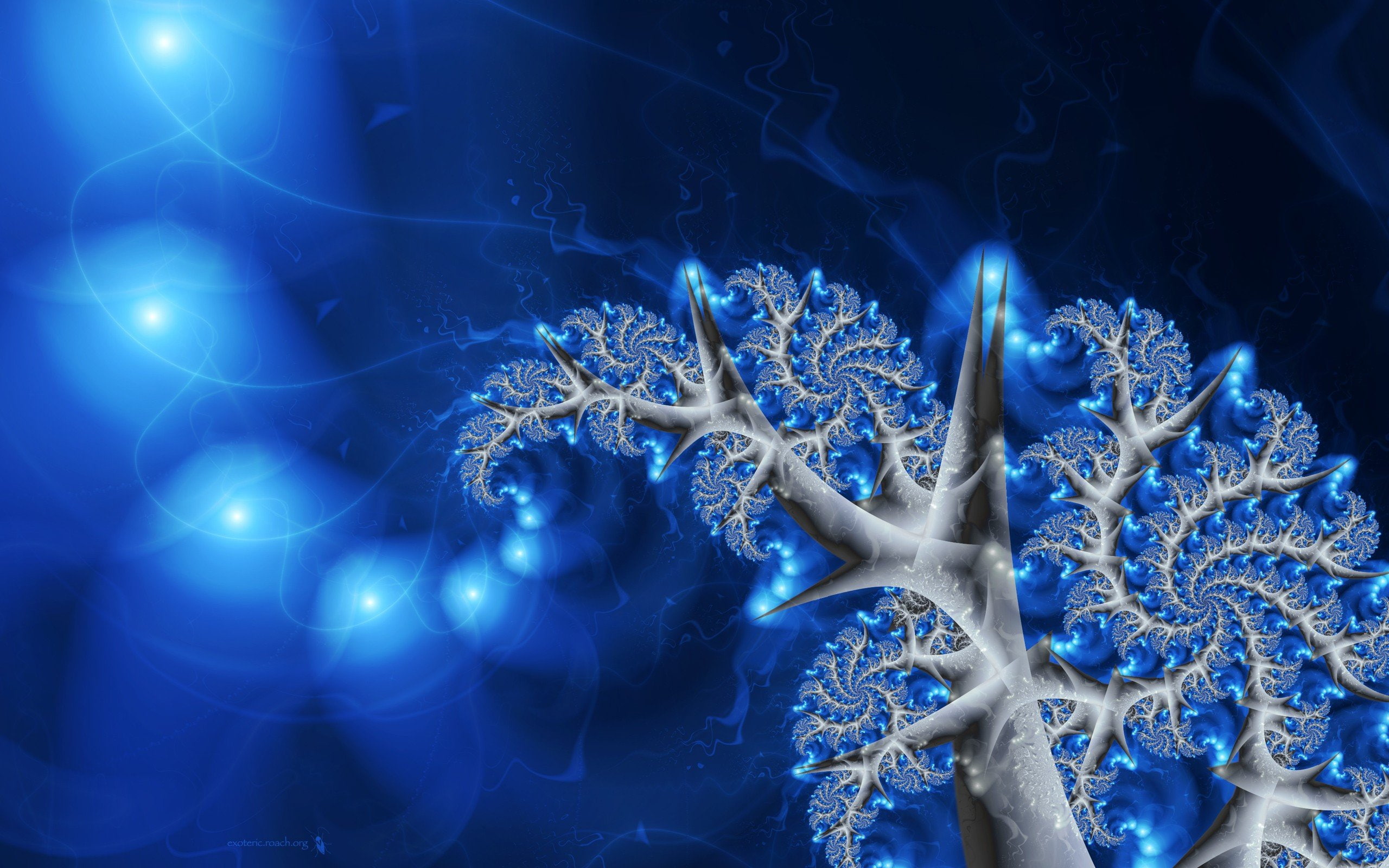 fractals