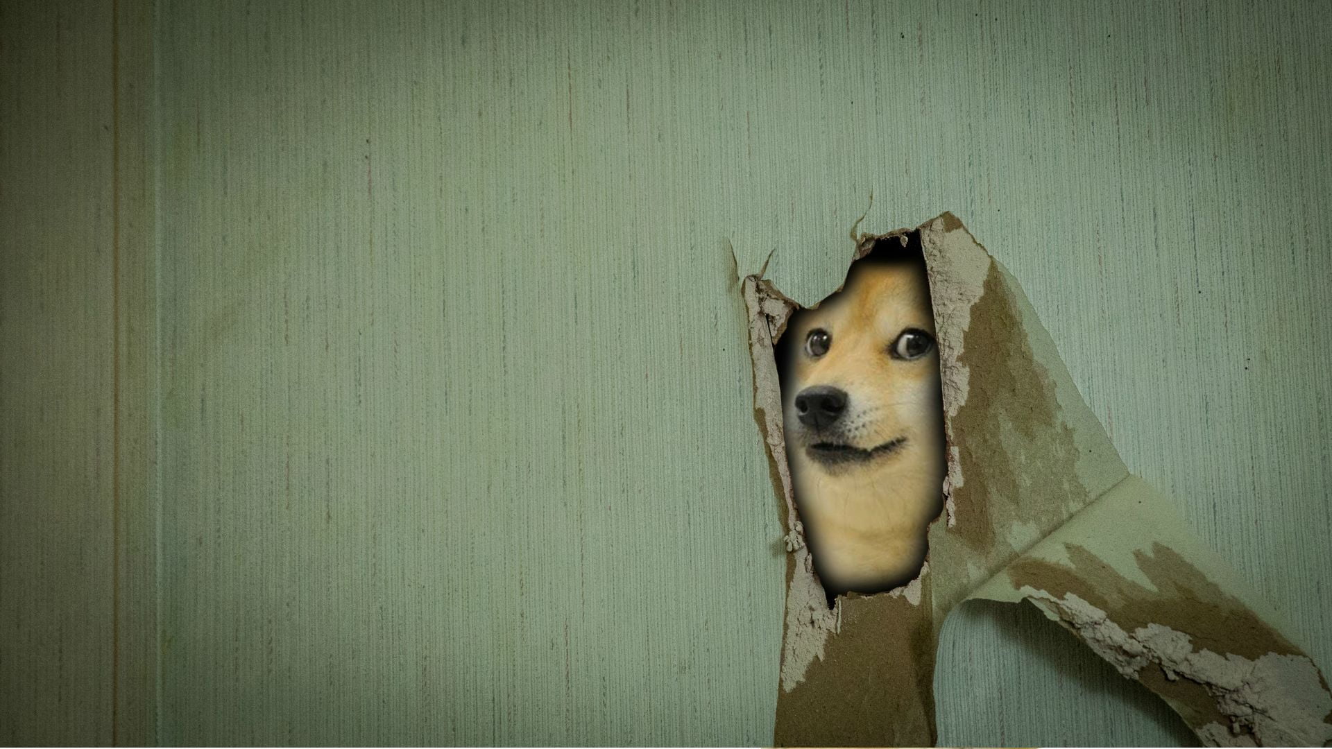 doge digital wallpaper, memes, one animal, domestic, pets, canine