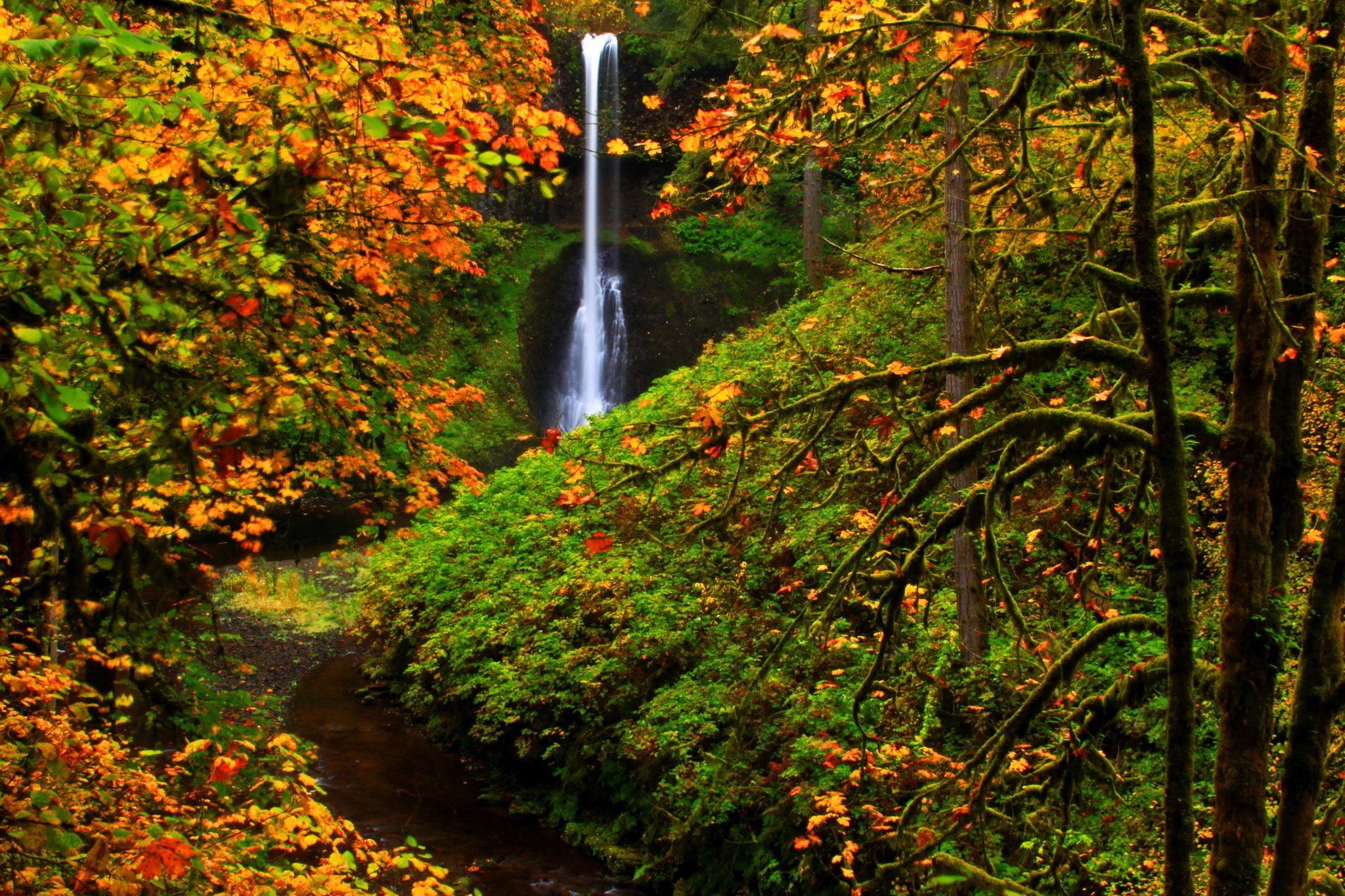autumn, falls, nature, park, parks, silver, state, usa, waterfalls