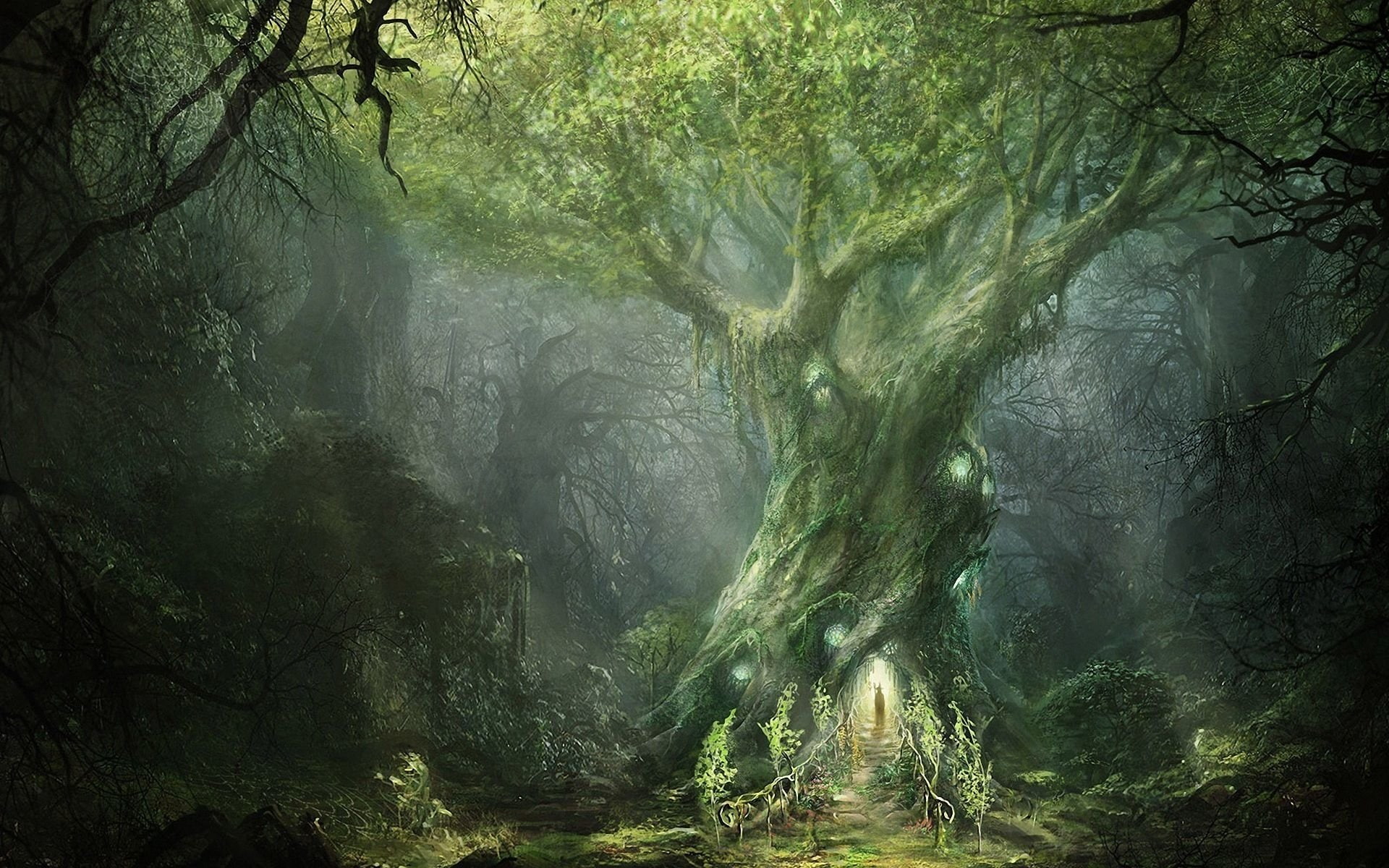 Fantasy, Forest