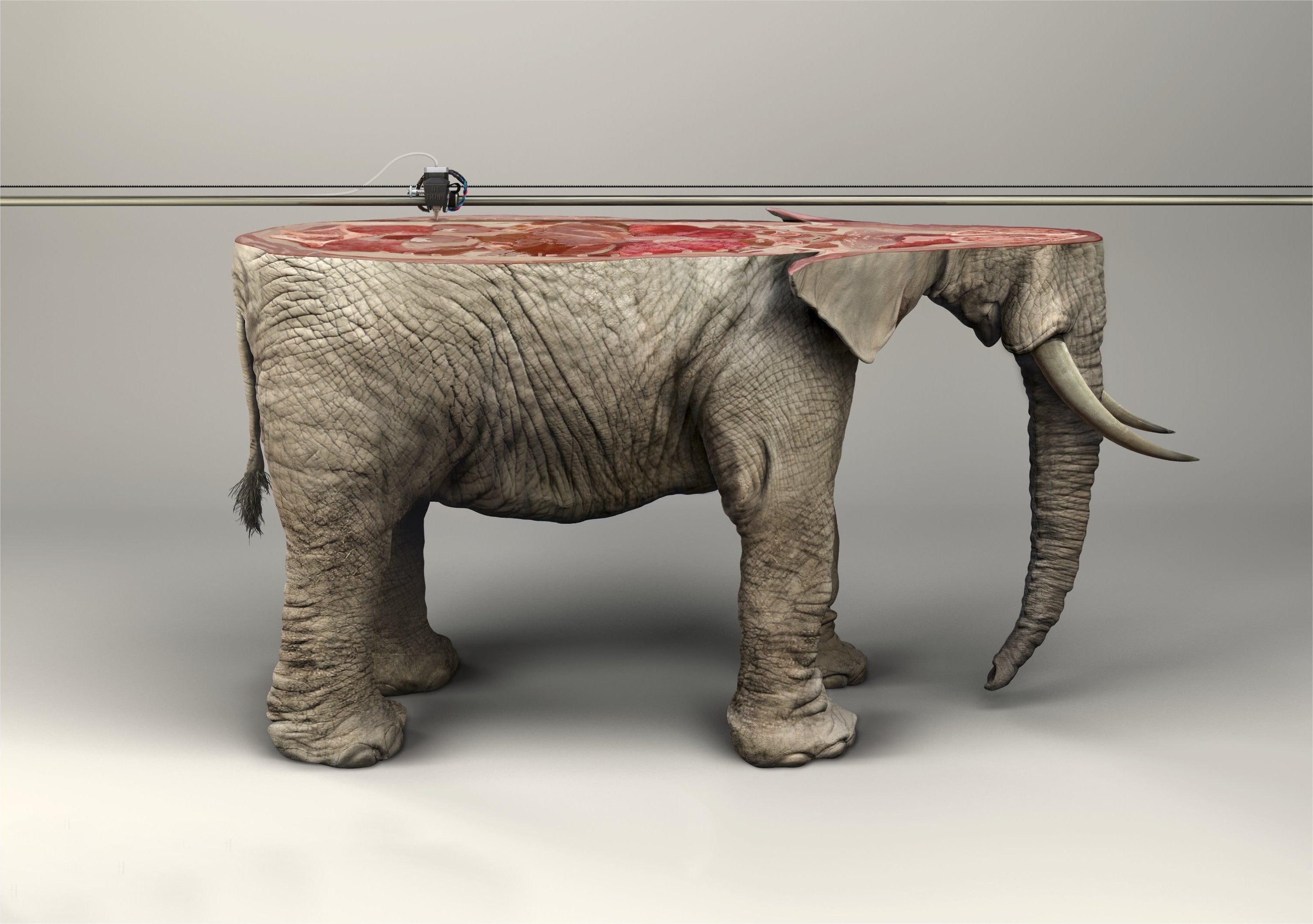 artwork animals digital art elephants 3d object 3d printer skin photo manipulation fangs simple background wires ifaw