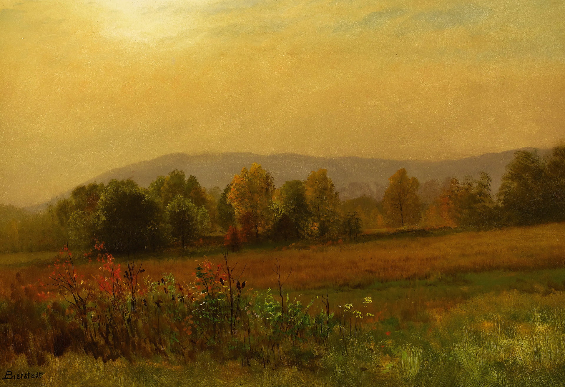 nature, picture, Albert Bierstadt, Autumn Landscape