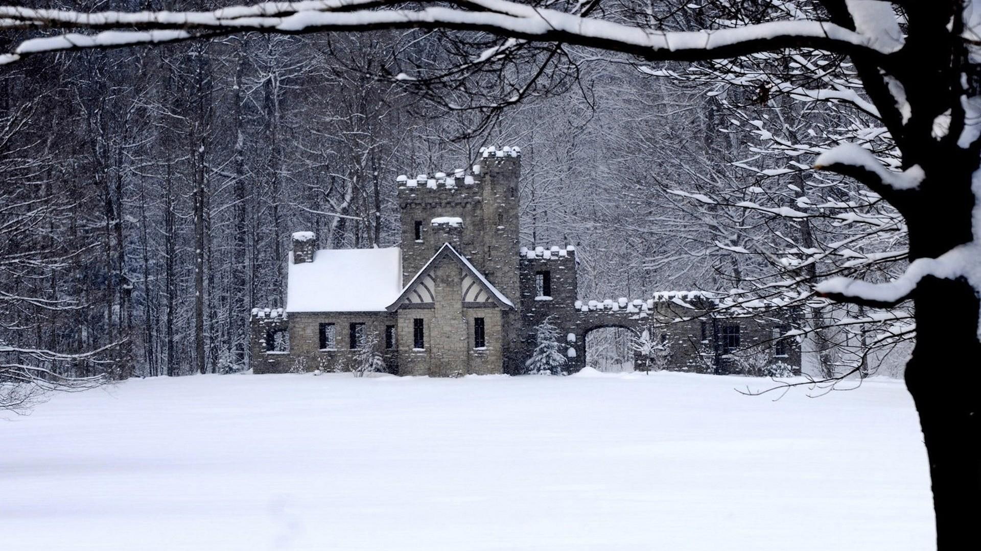 Lonely Home, forest, house, abandoned, castle style, snow, alone