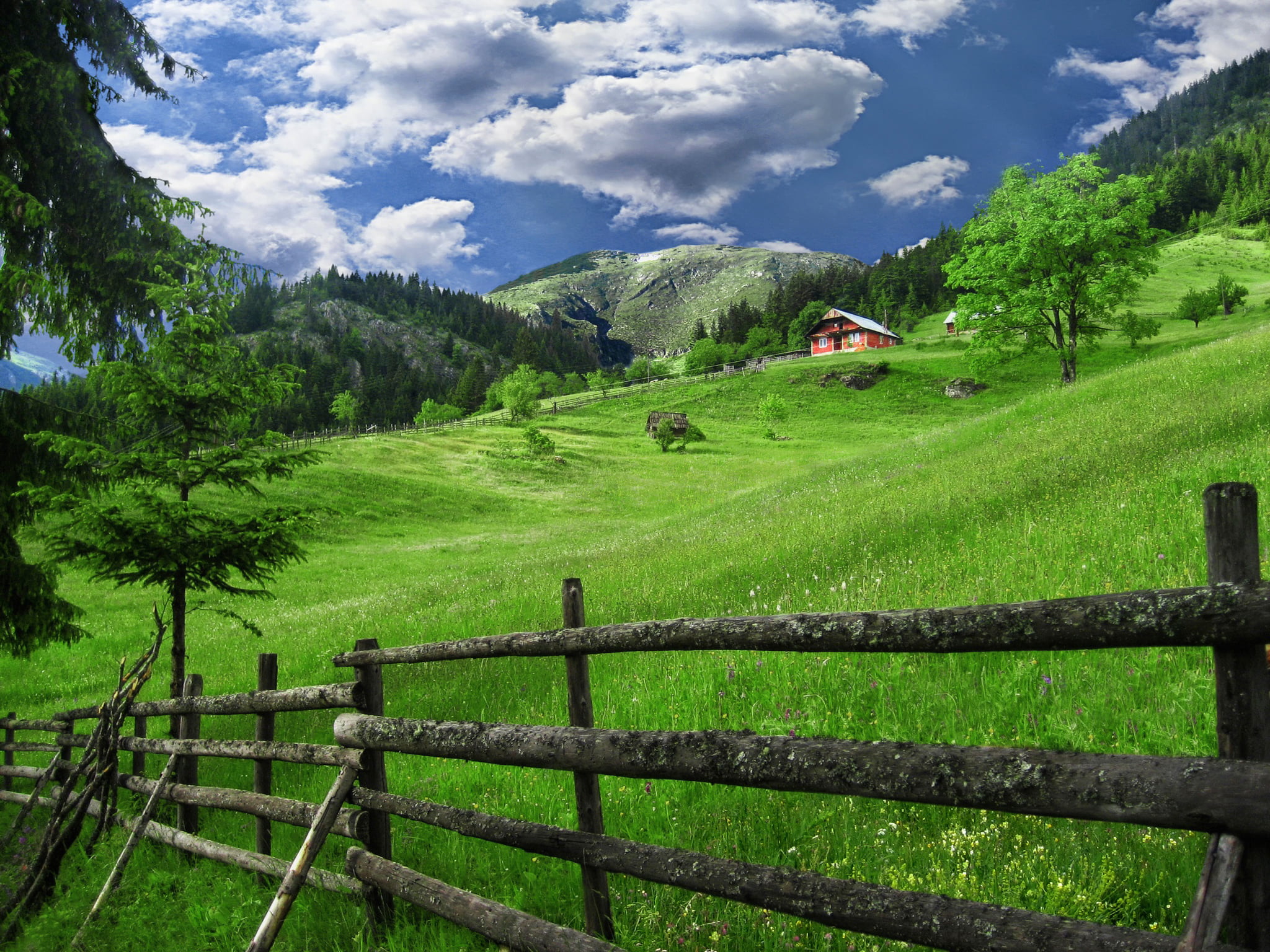 green grass field, house, the fence, village, Kosovo, plant, green color
