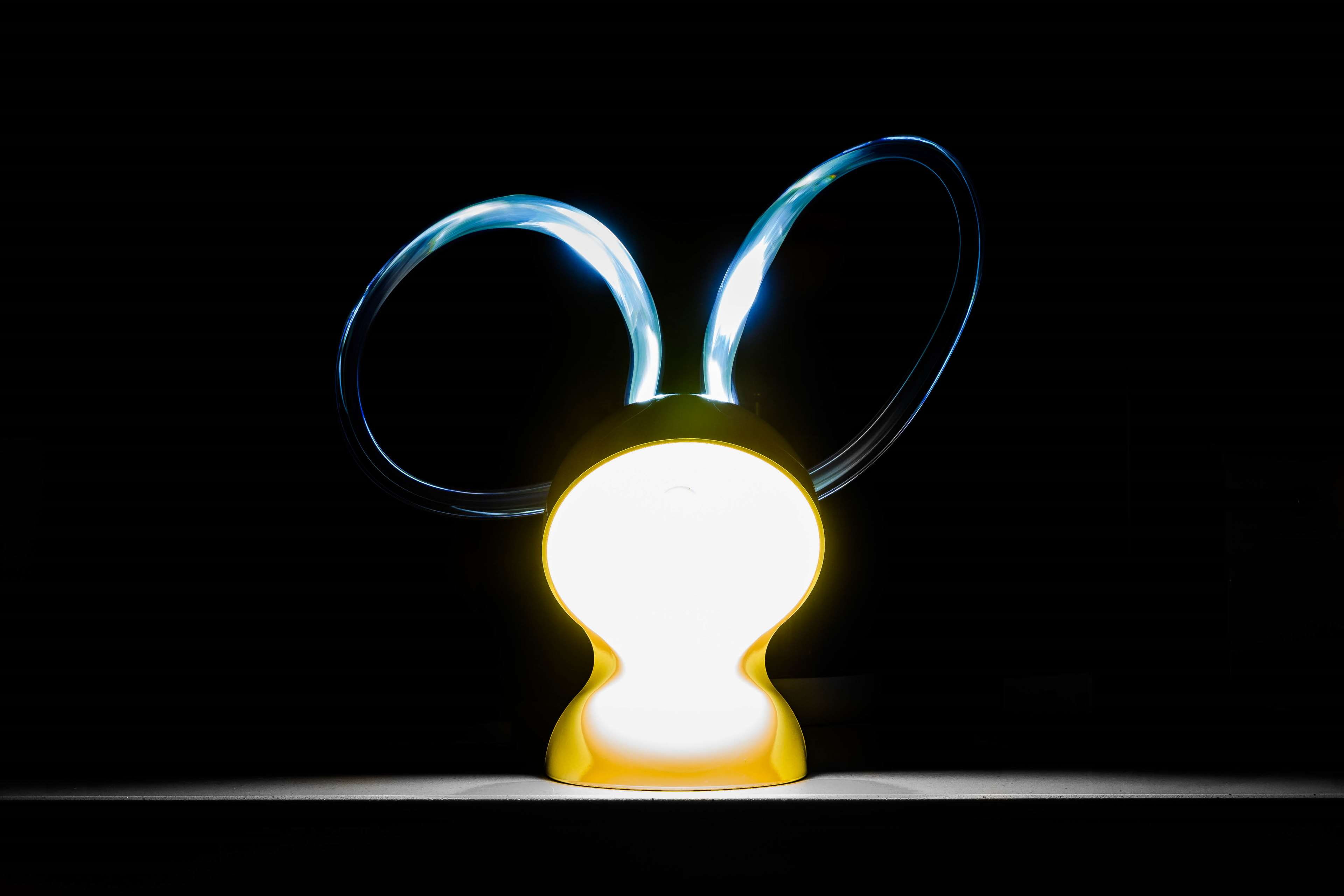 ampoule, brille, bulb, bunny, lamp, lampe, lapin, light, lightpainting