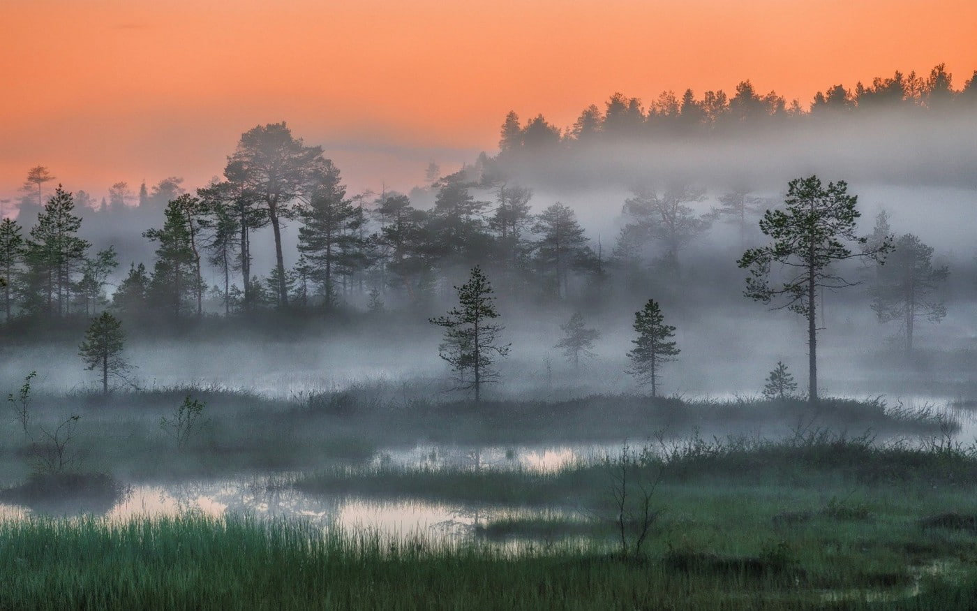 arctic, forest, landscape, mist, nature, night, russia, sunset