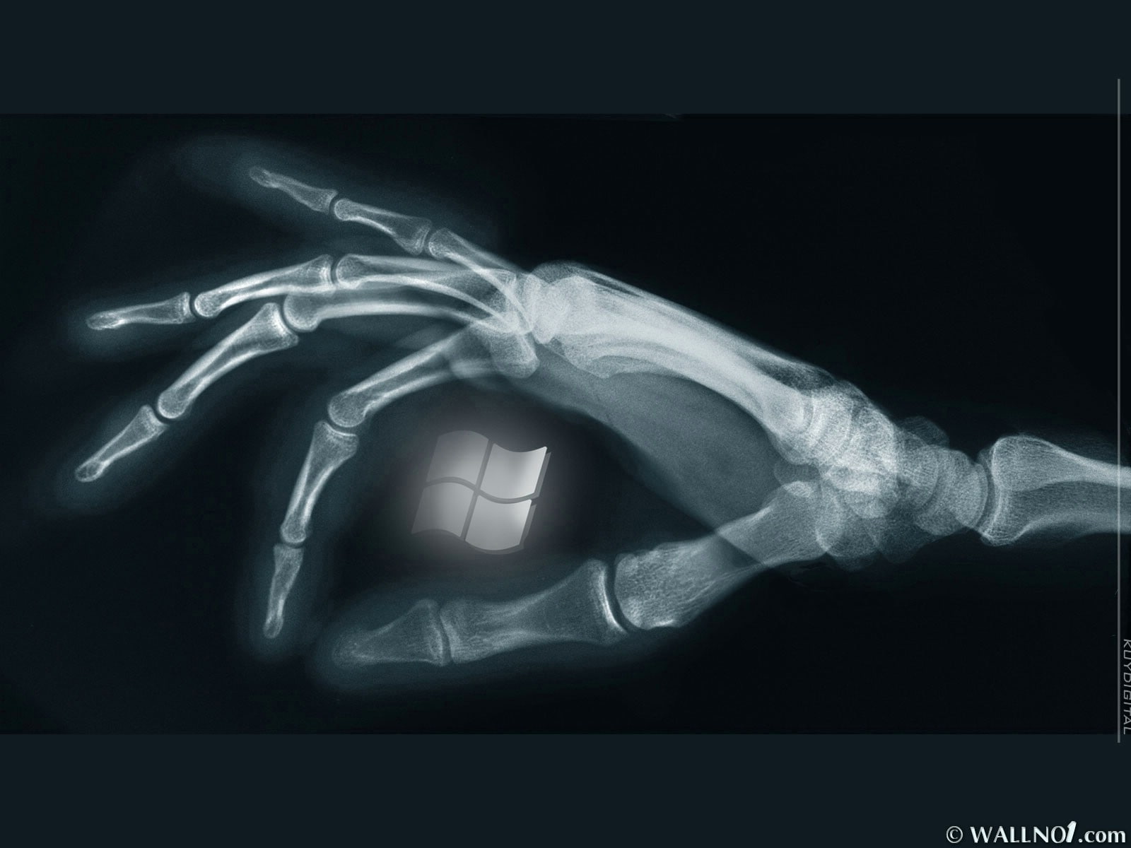 art, bones, digital, hands, microsoft, windows, x ray