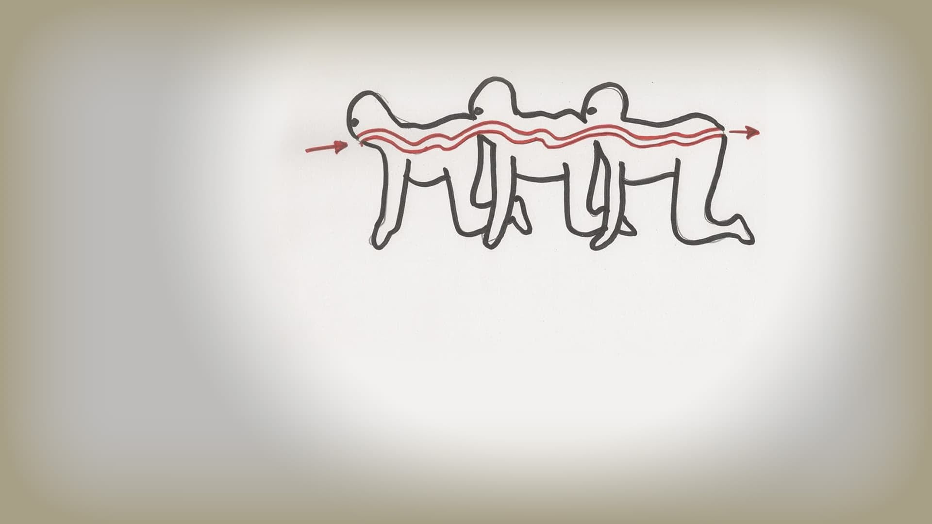 The Human Centipede, horror