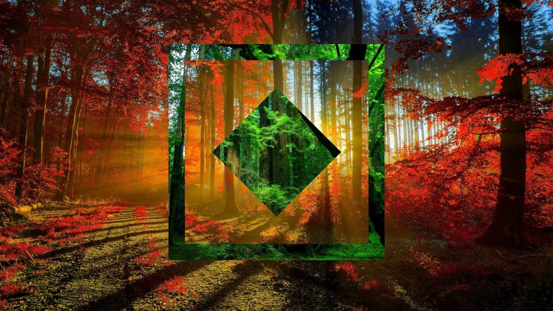 Abstract, Polyscape