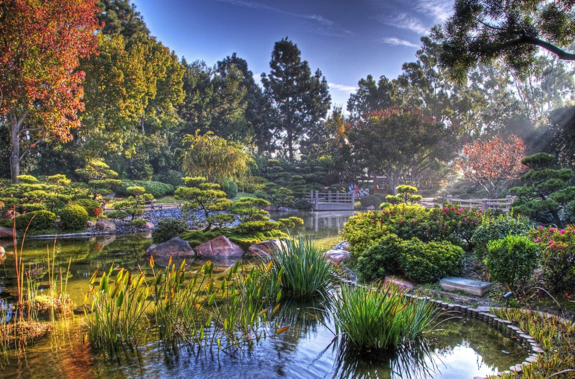 Man Made, Japanese Garden, Fall, Sunbeam, Zen