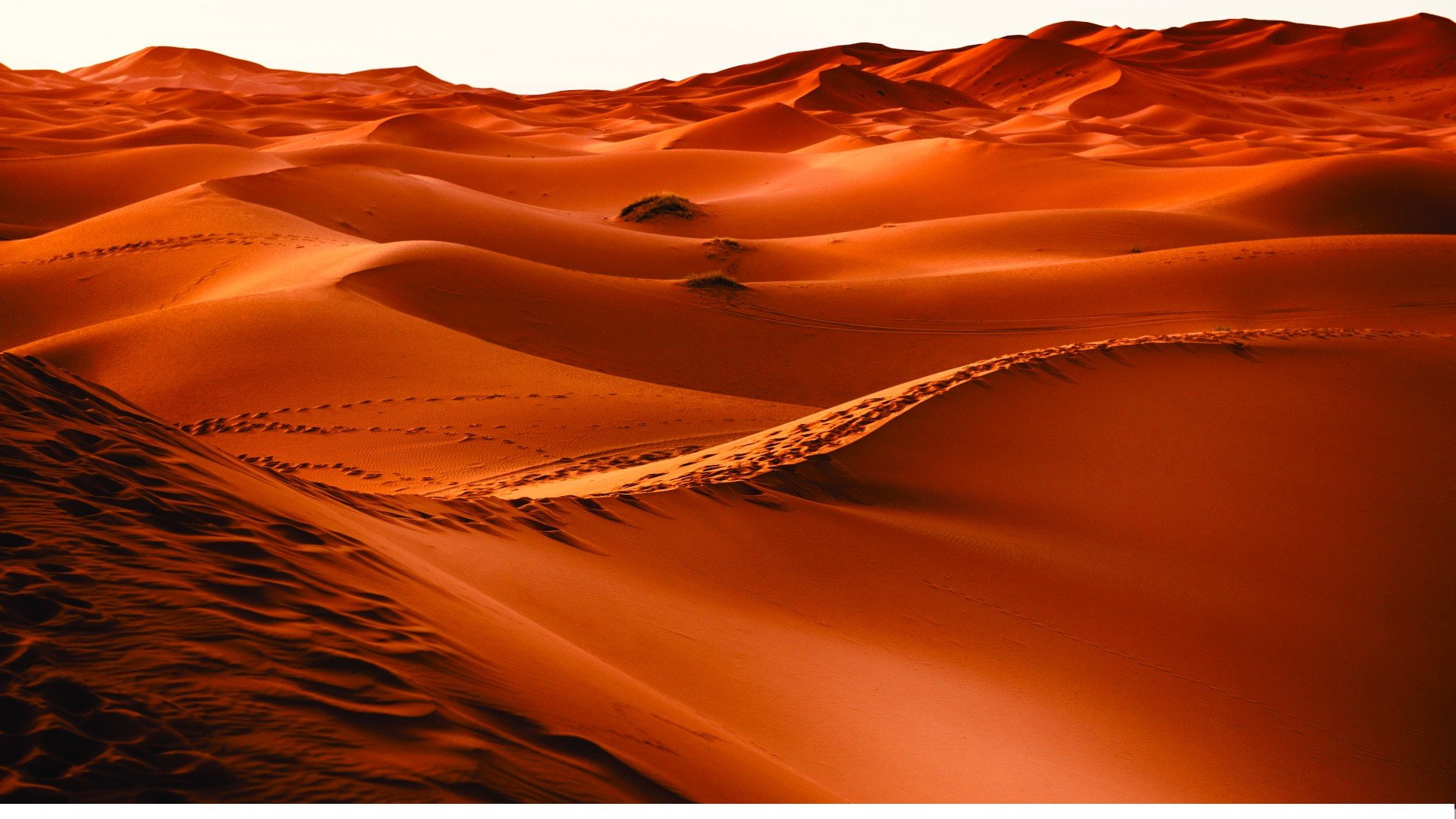 arena, desierto, dunas, naturaleza