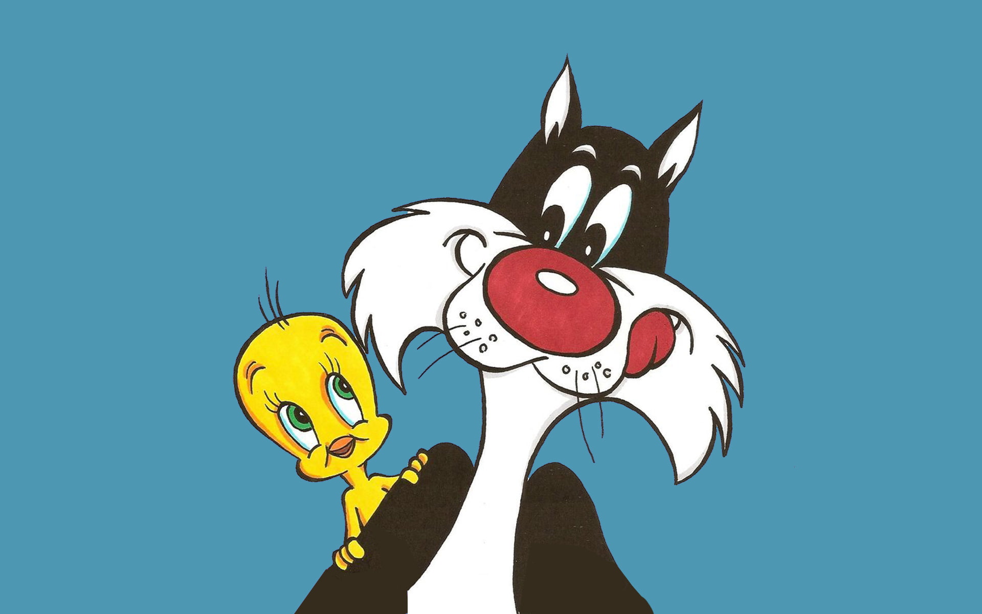 Desktop Hd Wallpaper Looney Tunes Tweety And Sylvester Cat Cartoons 1920×1200