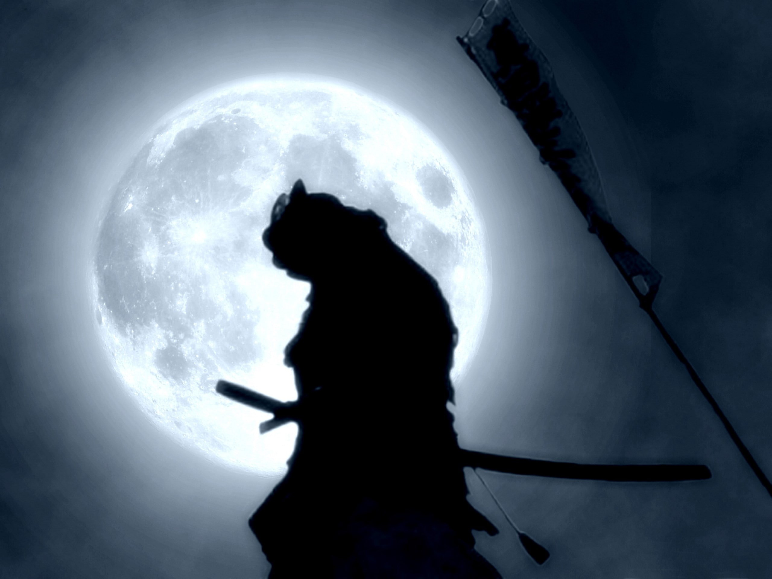 samurai, silhouette, sky, one person, moon, three quarter length