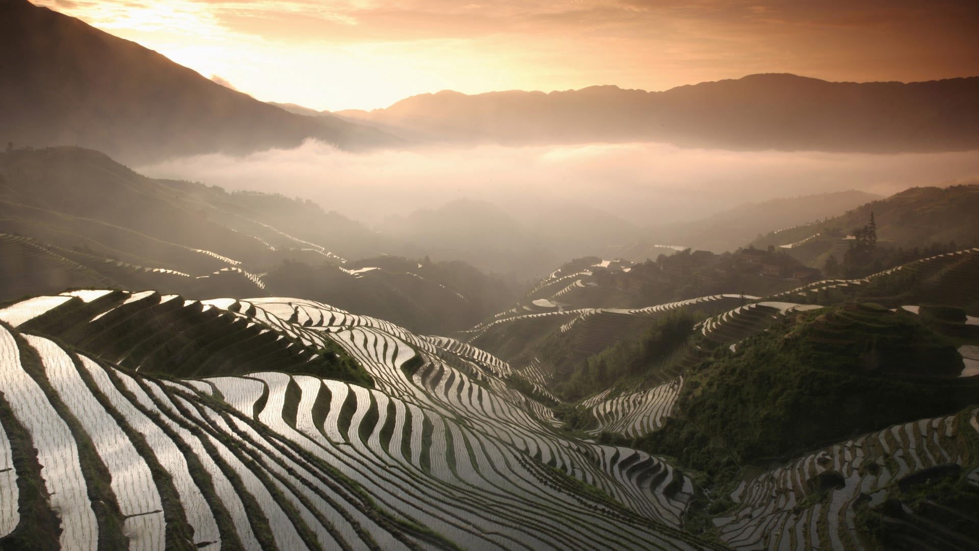 aerial photography of rice terraces, rice fields, mountains, fog