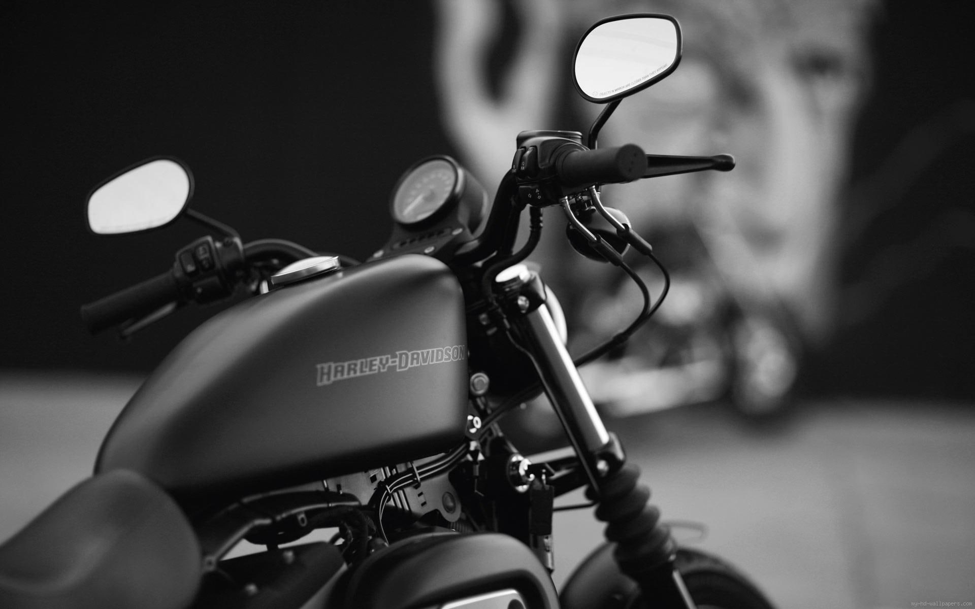 Black and white Harley davidson, black harley-davidson naked motorcycle