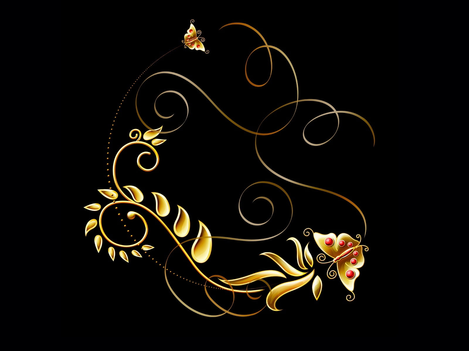 gold graphic design frame, patterns, butterfly, black background