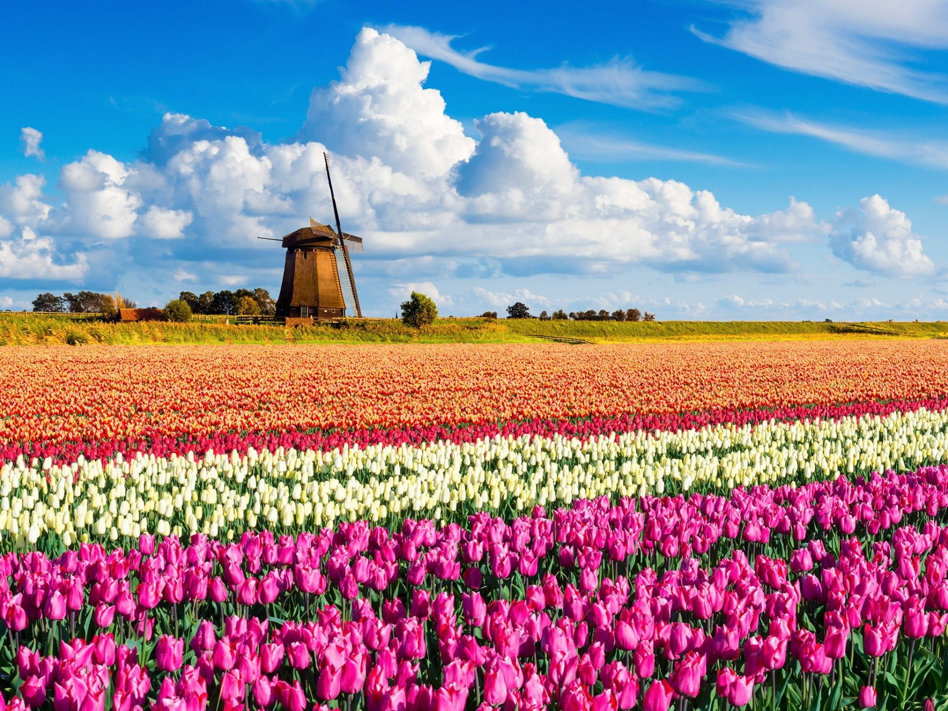 Buildings, Windmill