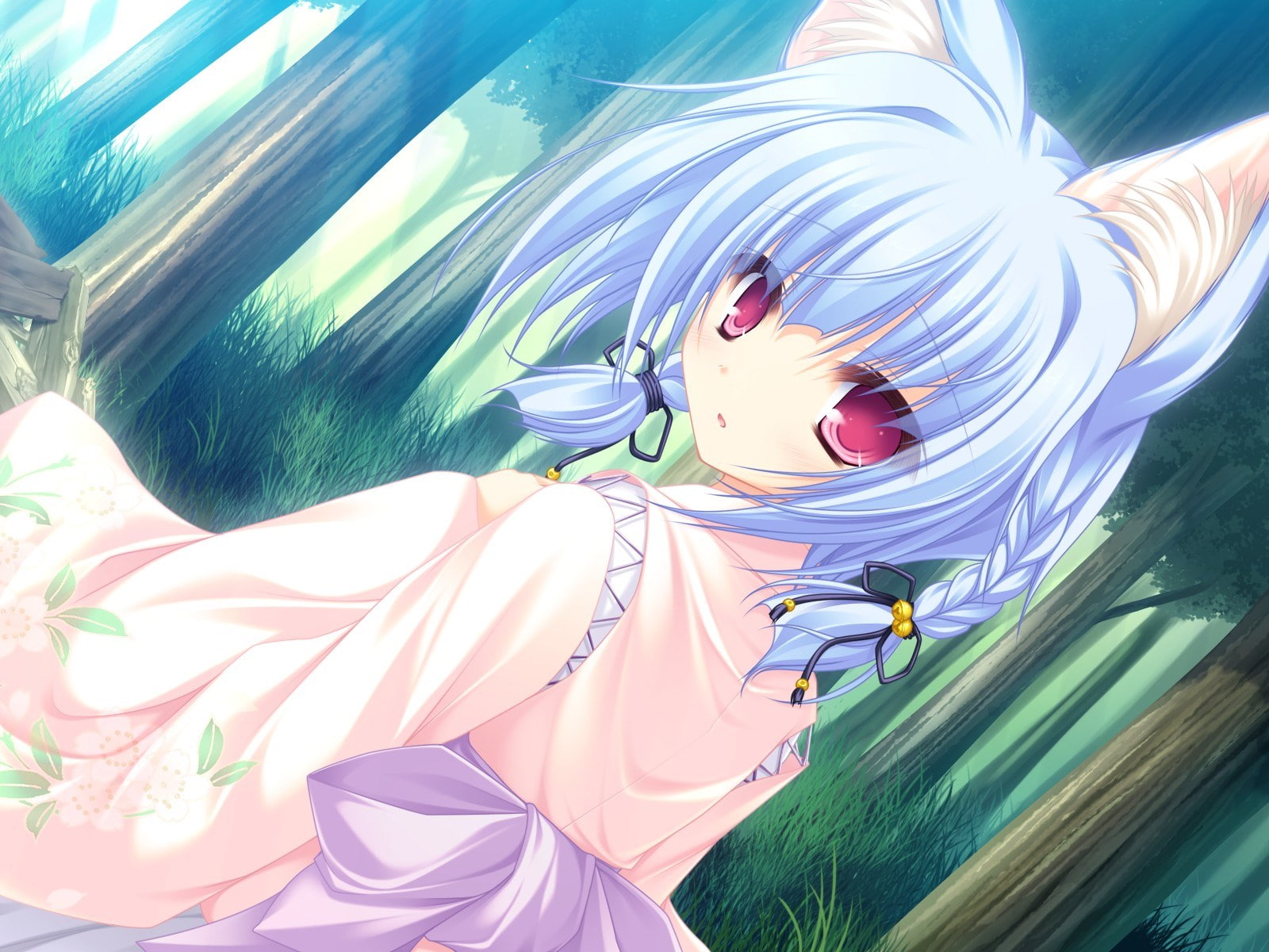 neko koi