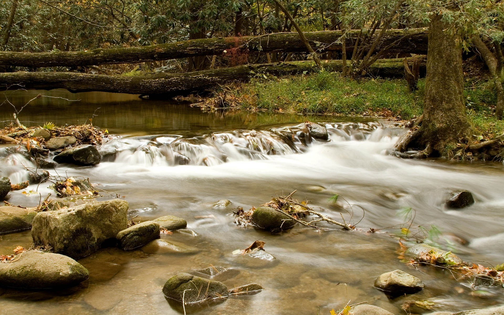 stream