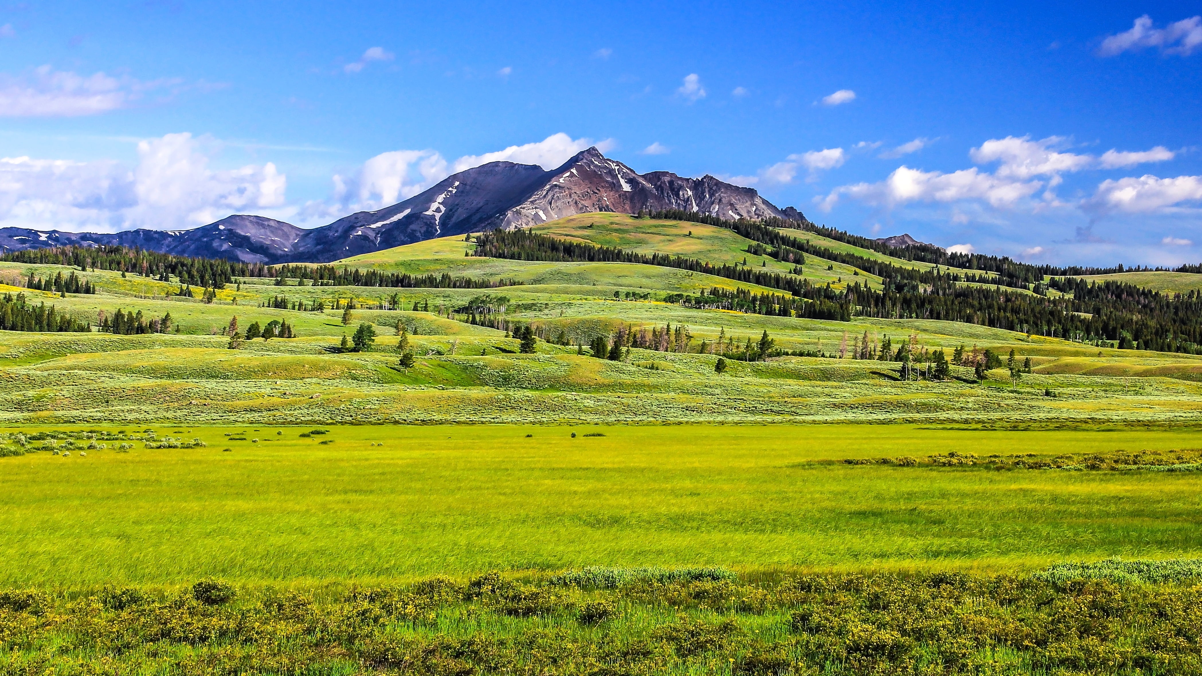 green grass field near mountain under blue sky during daytime, yellowstone, yellowstone