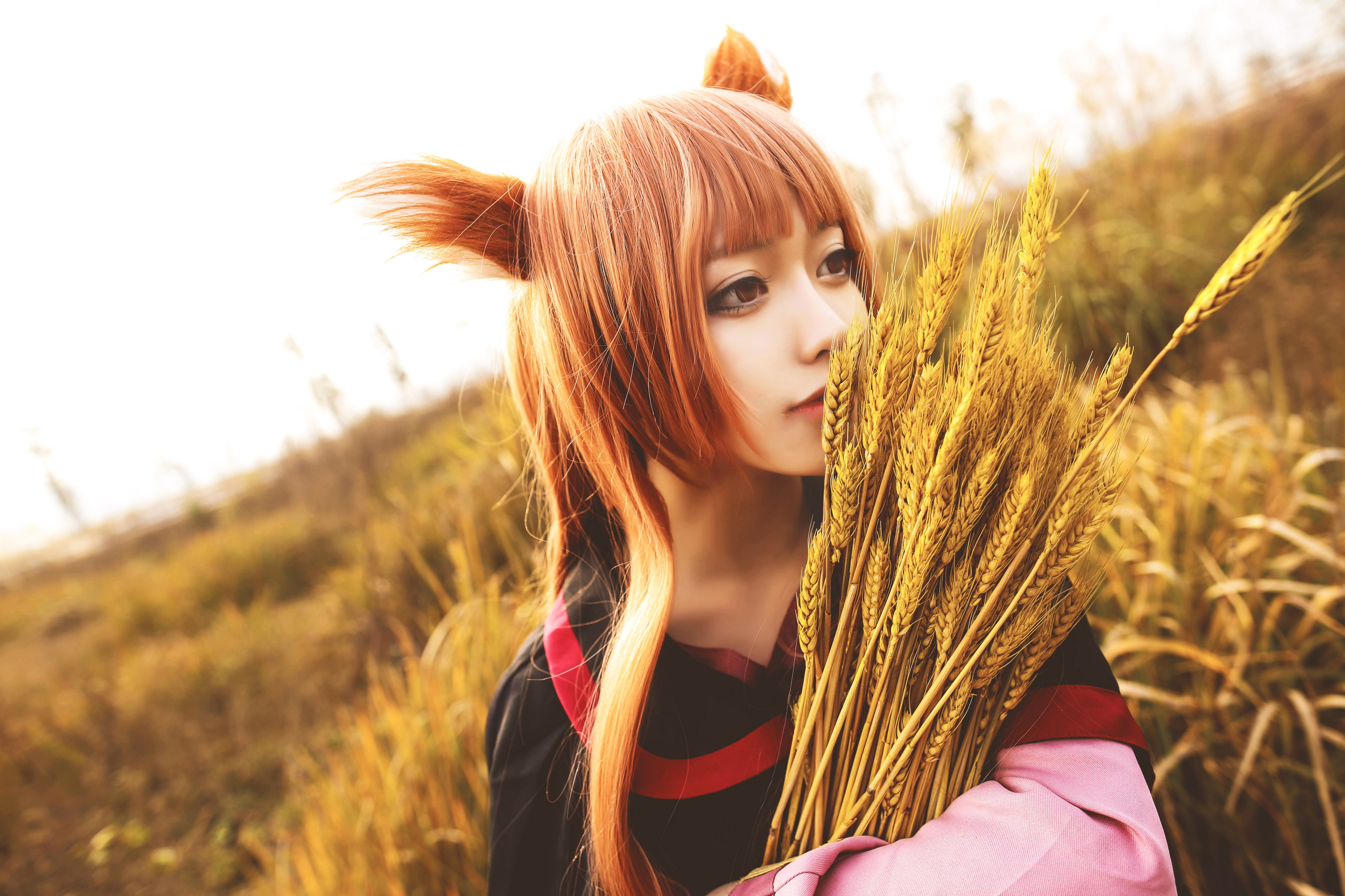 cosplay, redhead, Holo (Wolf and Spice), asian cosplayer, wheat